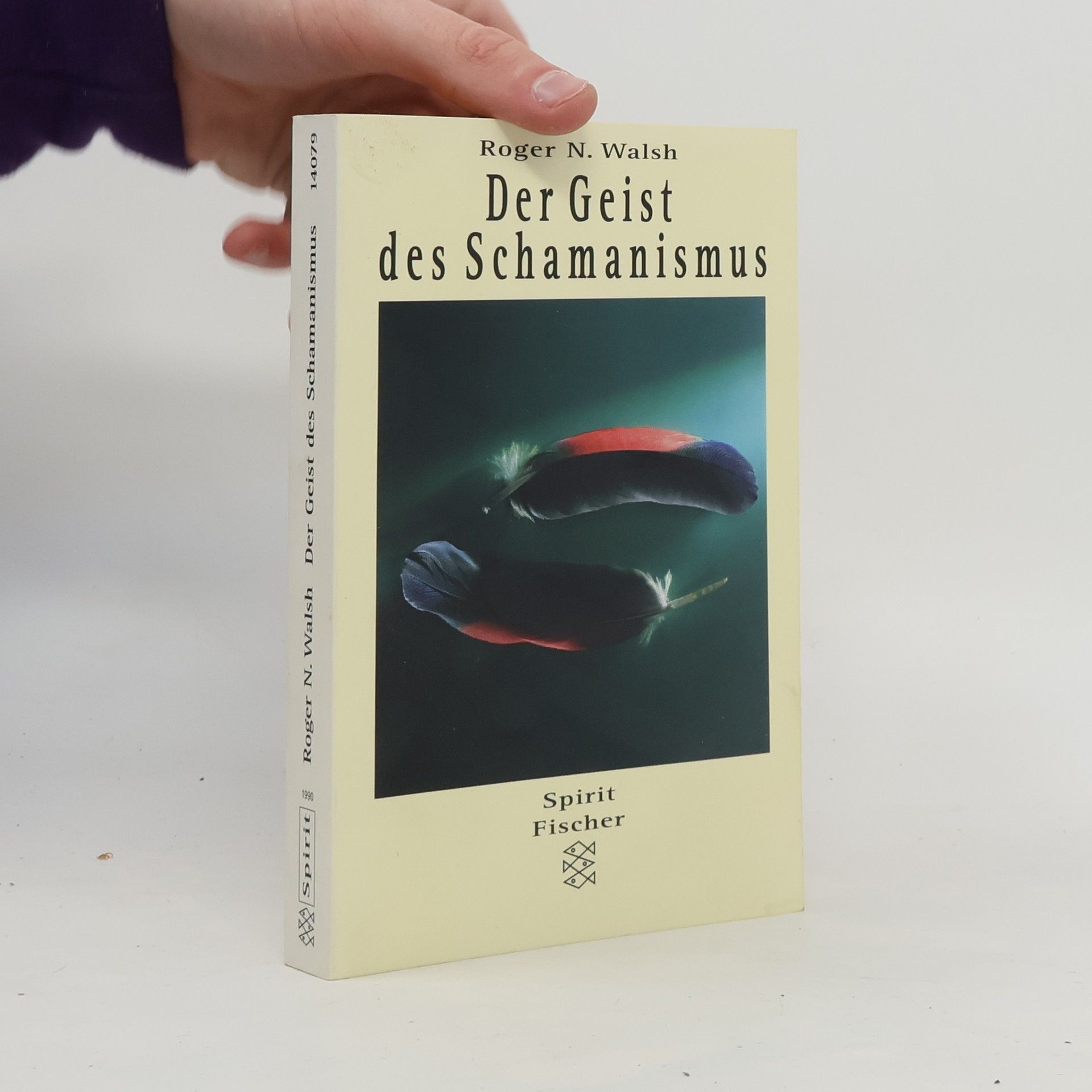 Raymond Smullyan Das Tao ist Stille