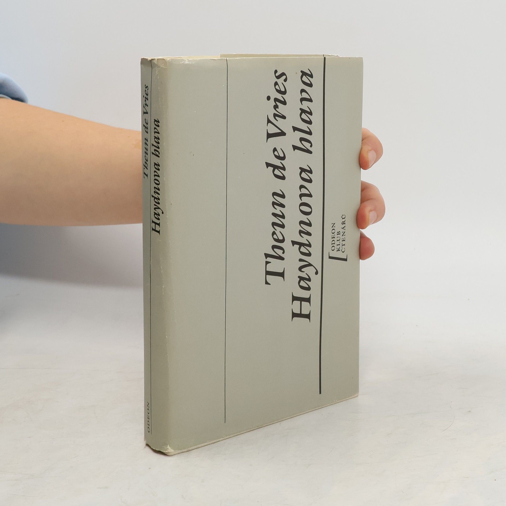 Theun de Vries Haydnova hlava