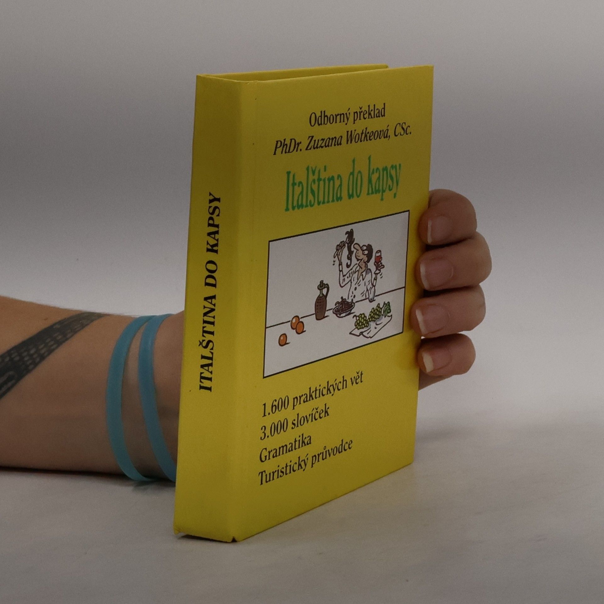 Tomáš Modlík Italština do kapsy