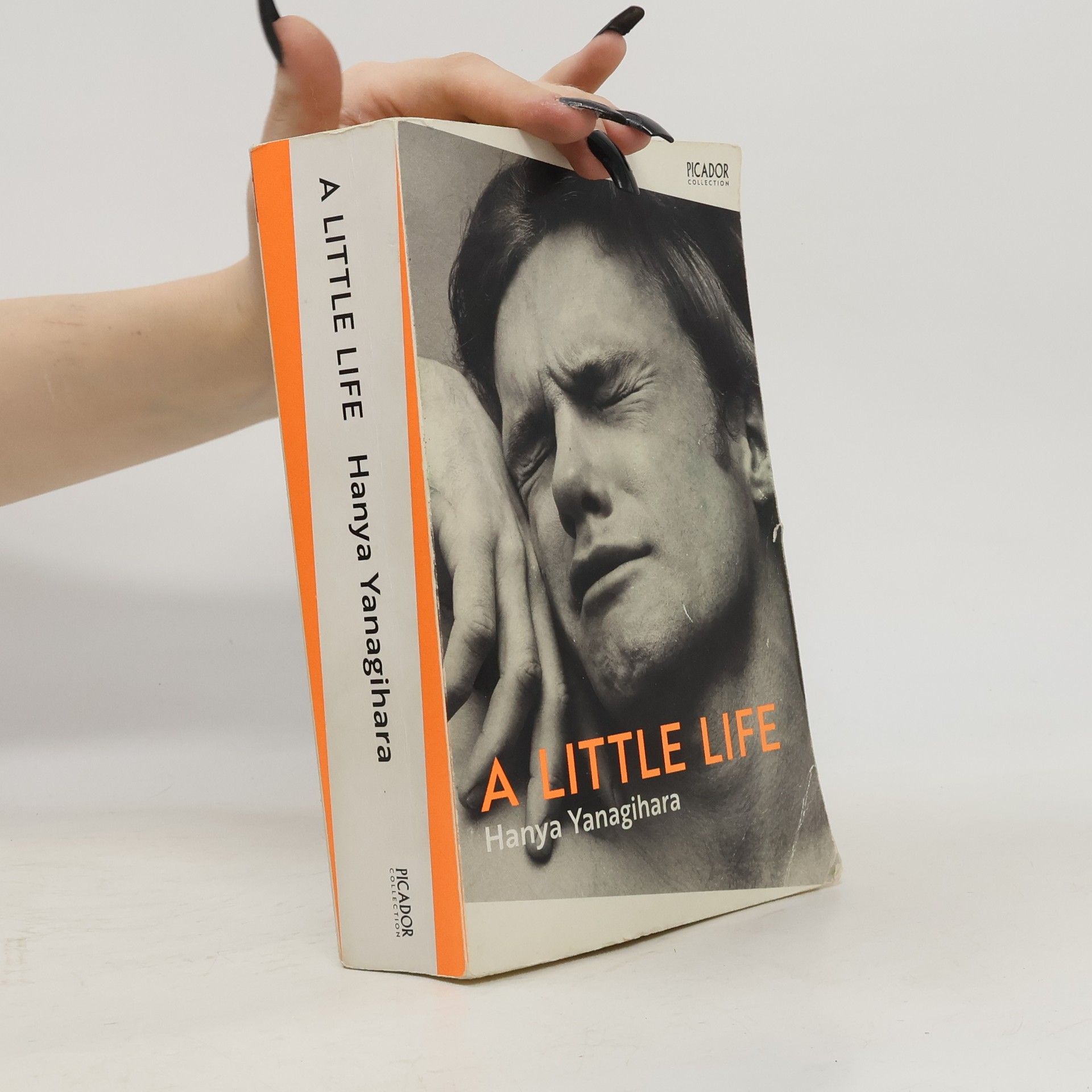 Hanya Yanagihara A Little Life