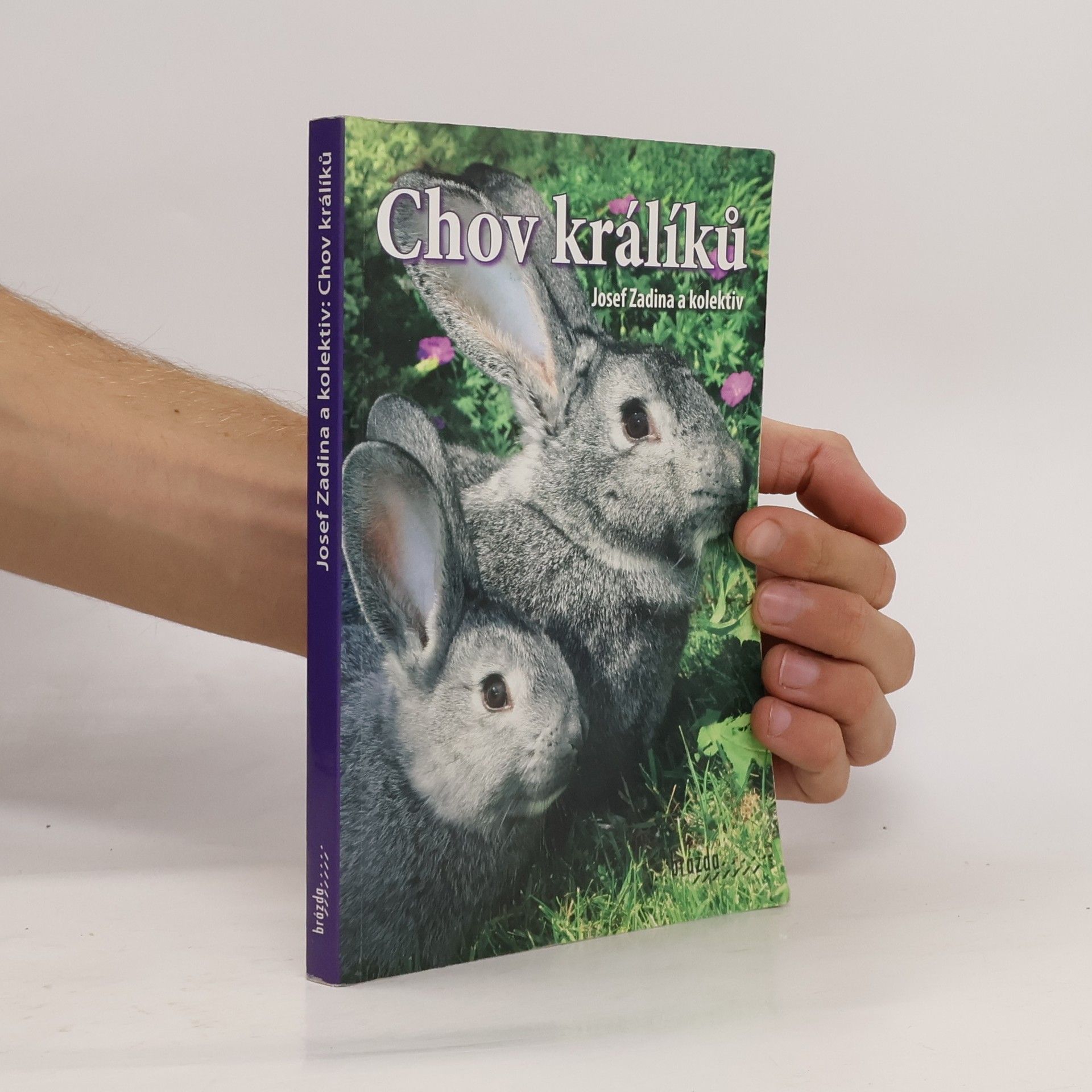 Josef Zadina Chov králíků