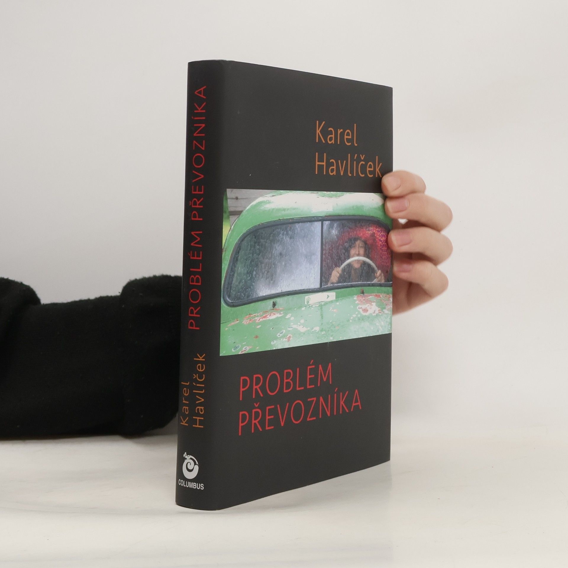 Problém převozníka