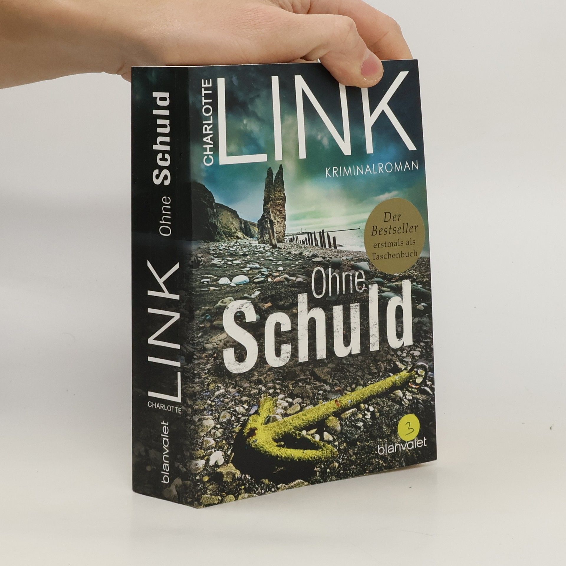 Charlotte Link Ohne Schuld