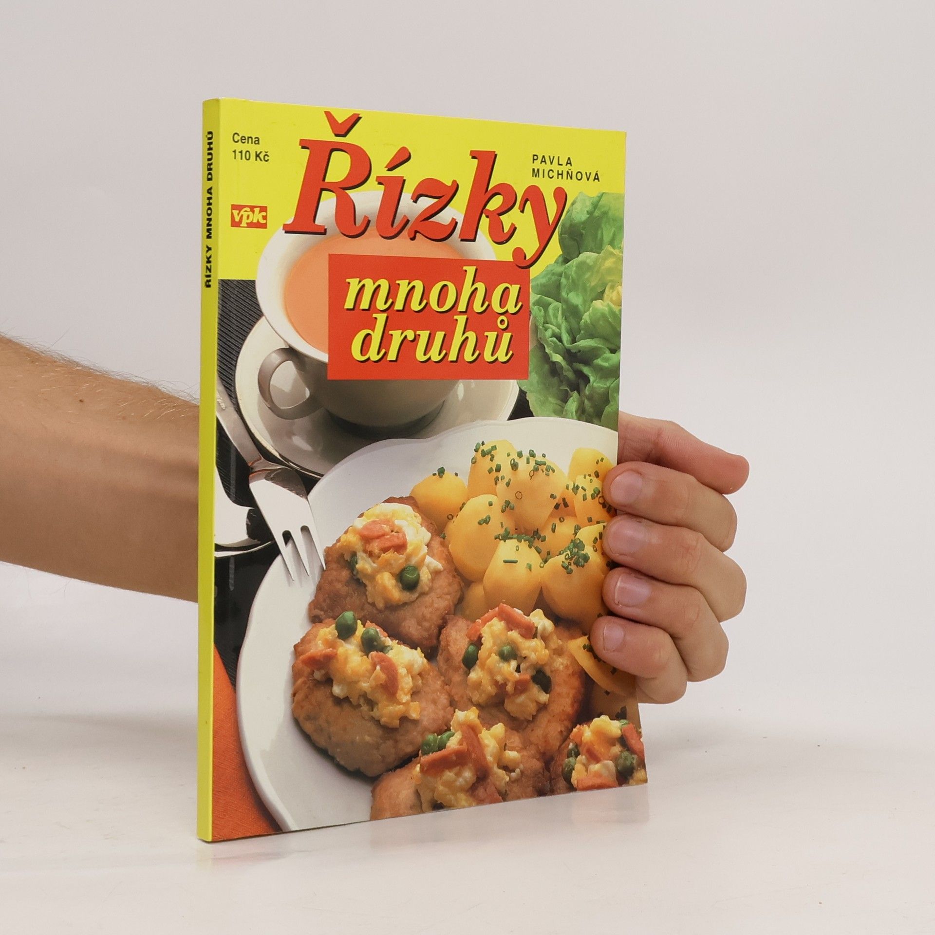 Pavla Michňová Řízky mnoha druhů