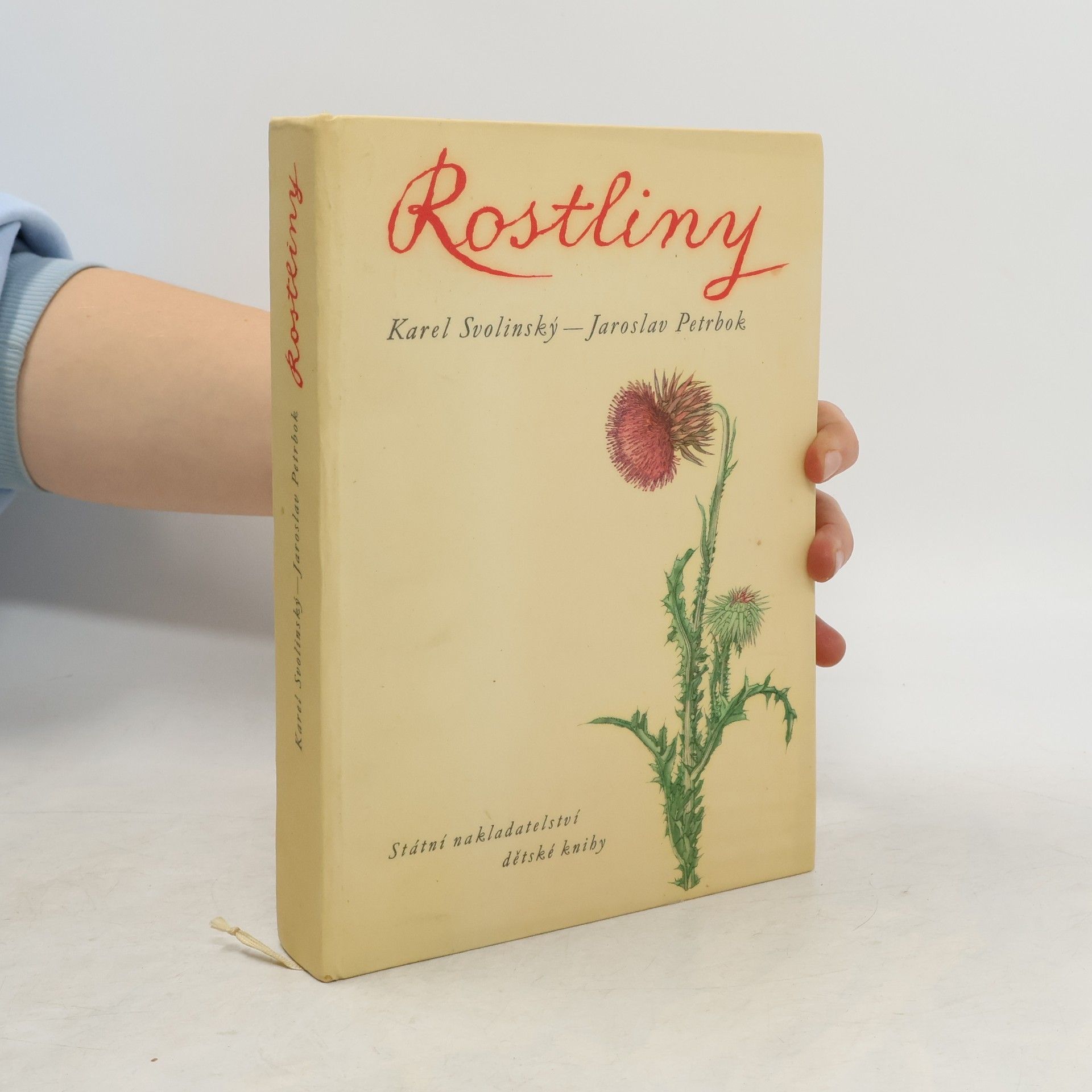 Karel Svolinský Rostliny