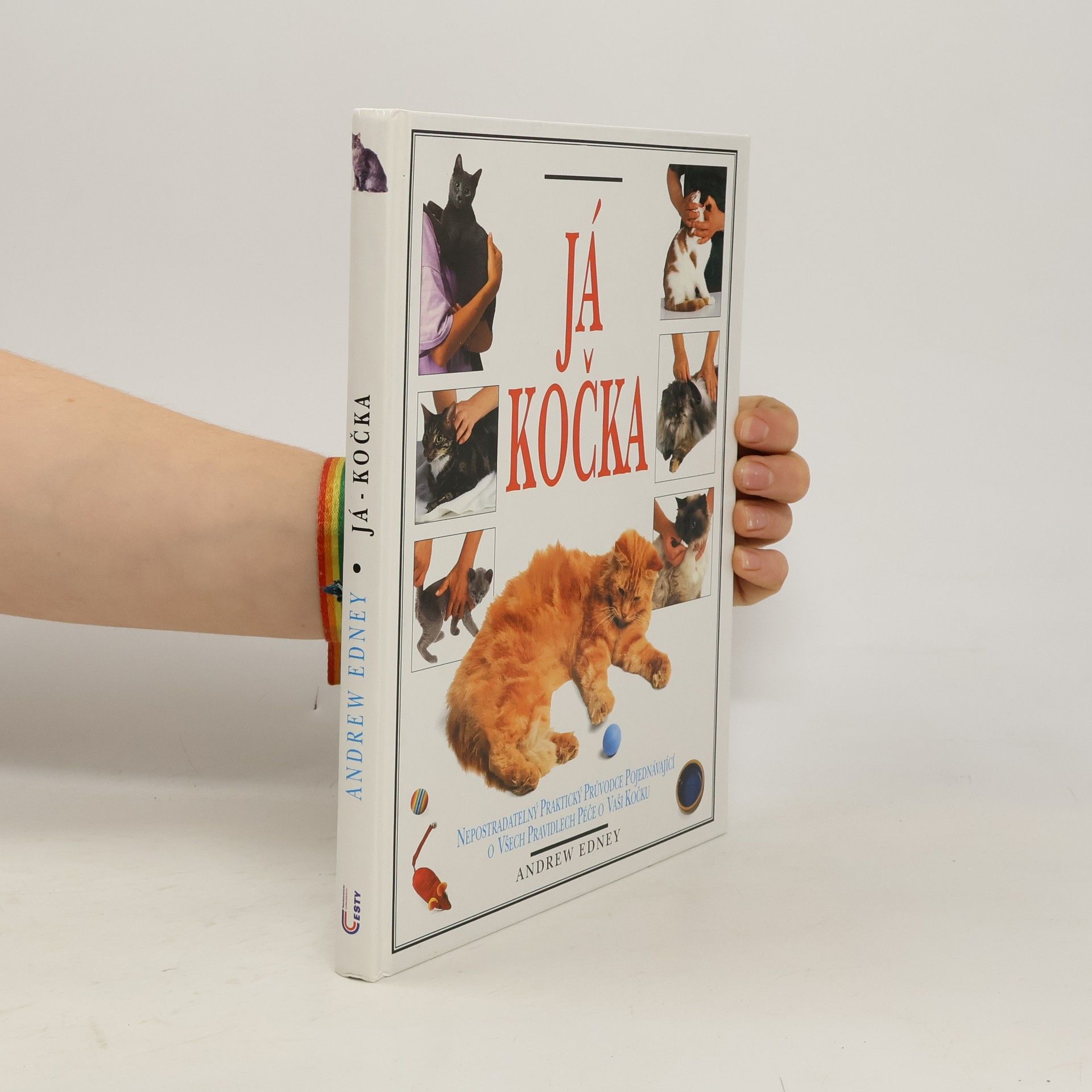 Já, kočka