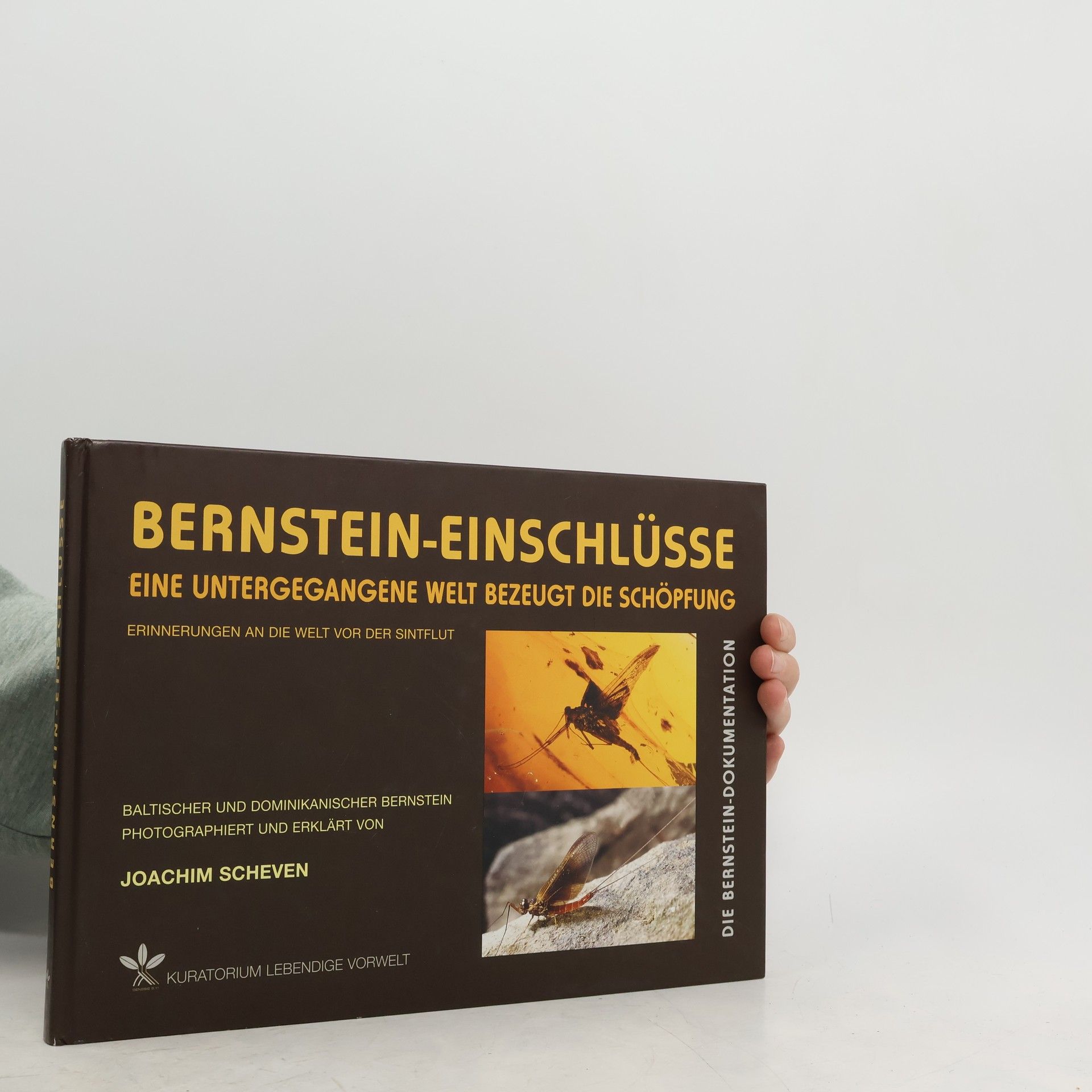 Bernstein-Einschlüsse