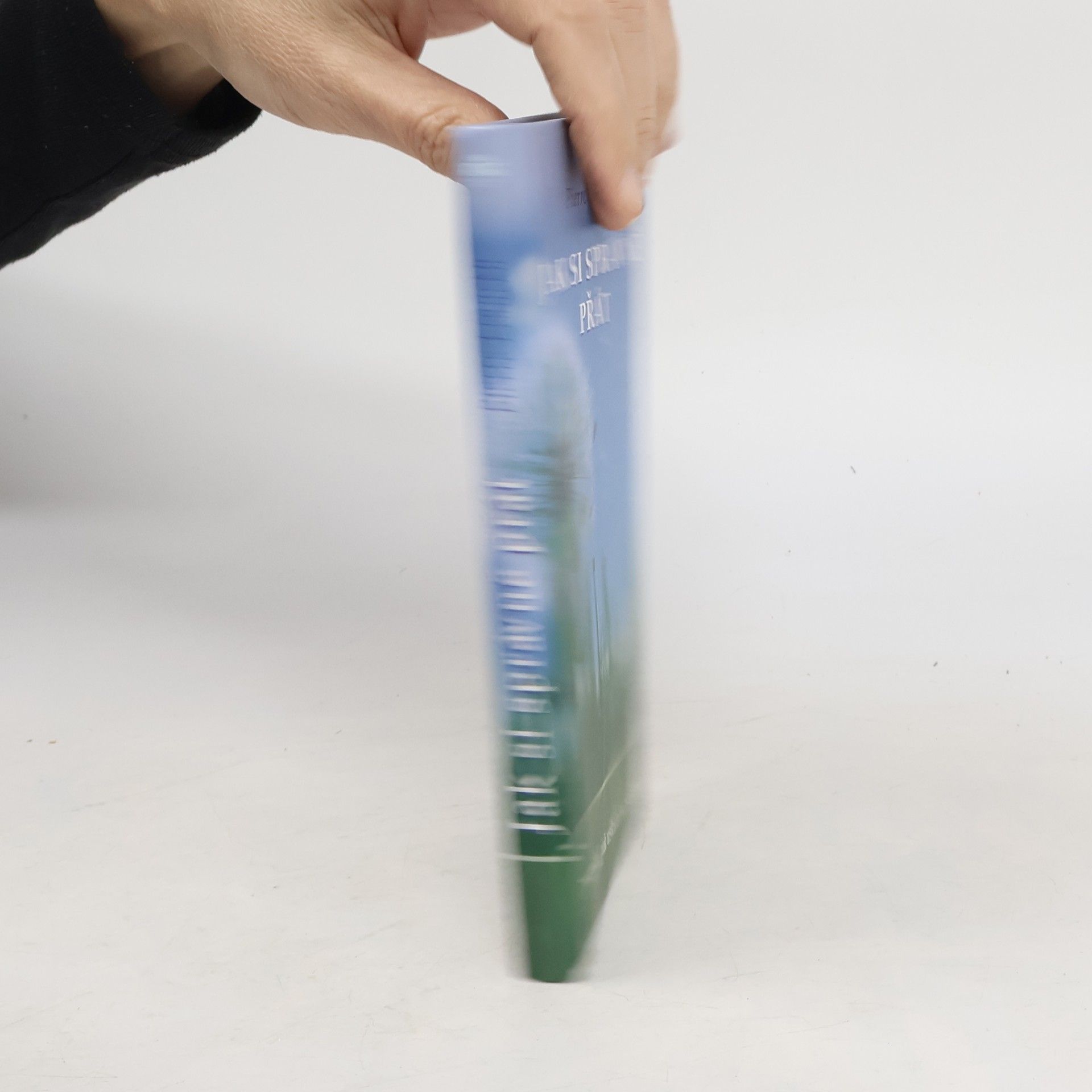 Pierre Franckh Jak si správně přát