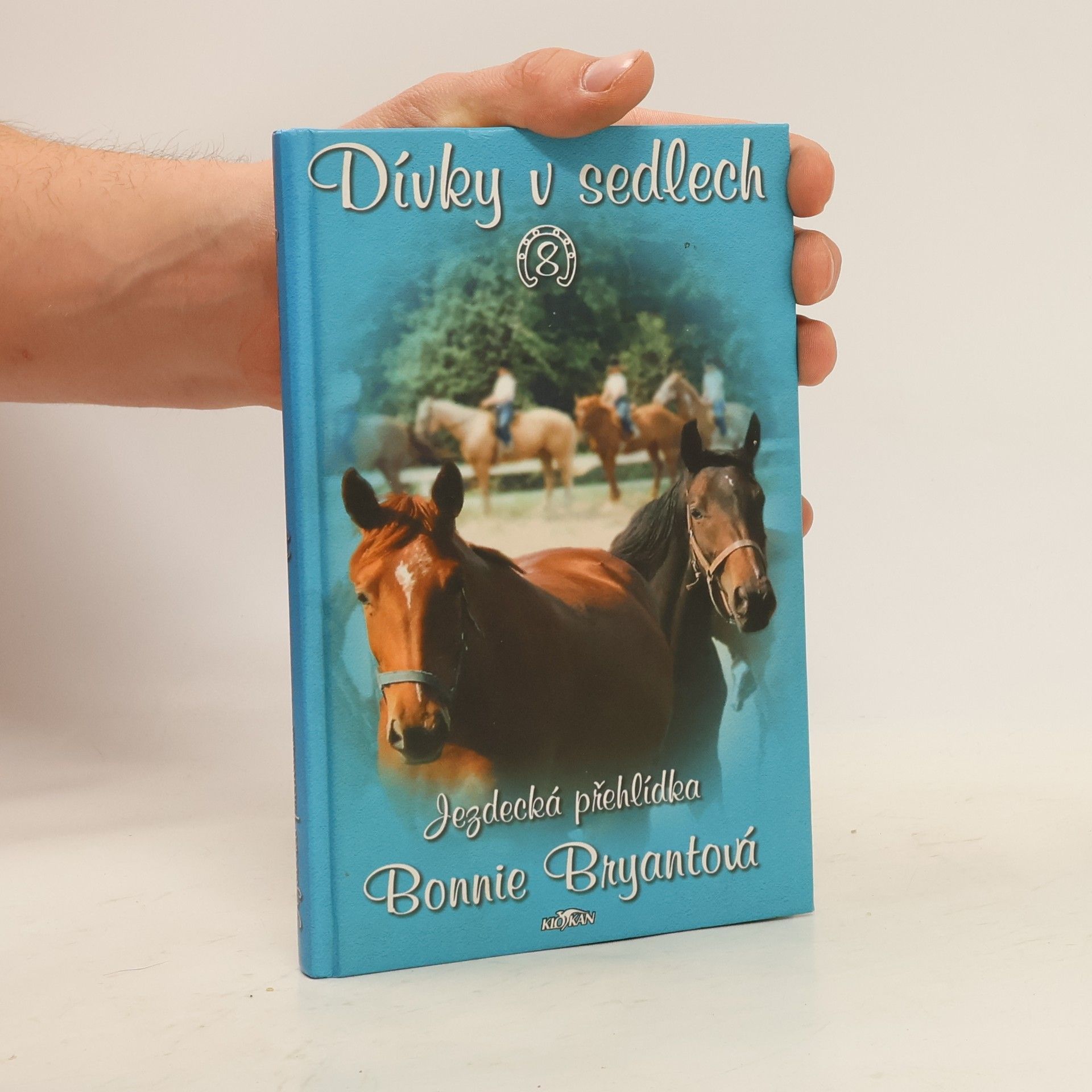 Bonnie Bryant Dívky v sedlech. 8, Jezdecká přehlídka