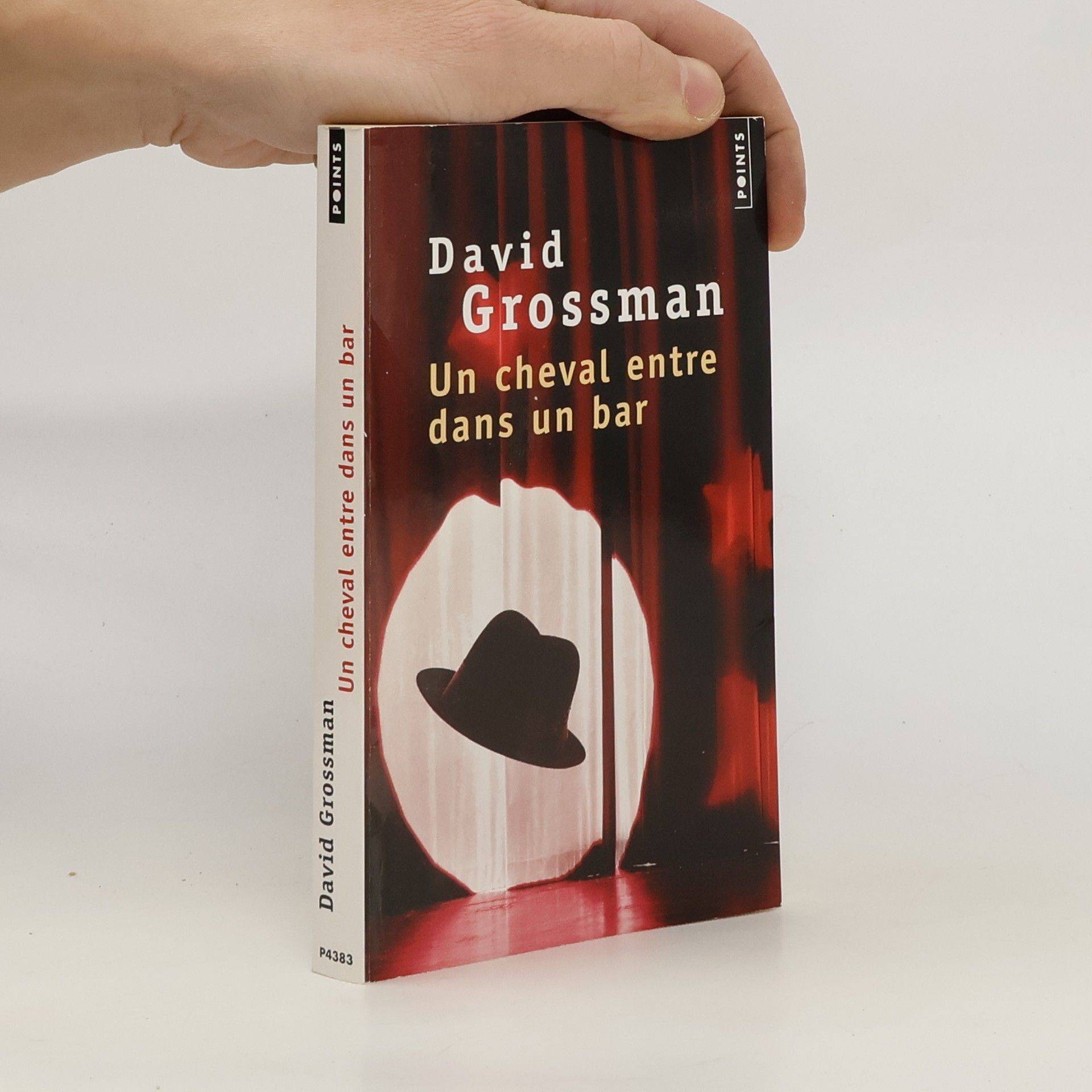 David Grossman Un cheval entre dans un bar