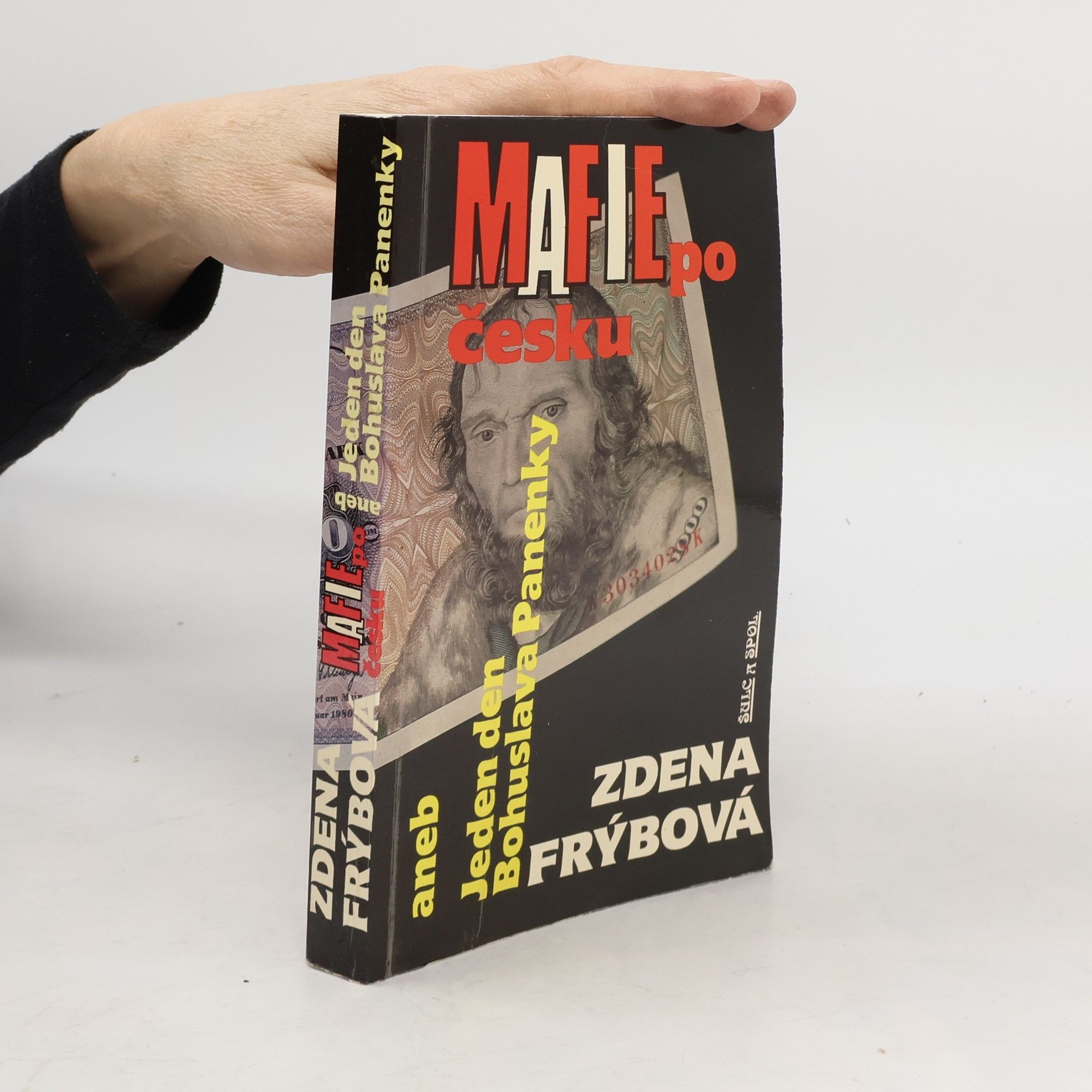 Zdena Frýbová Mafie po česku