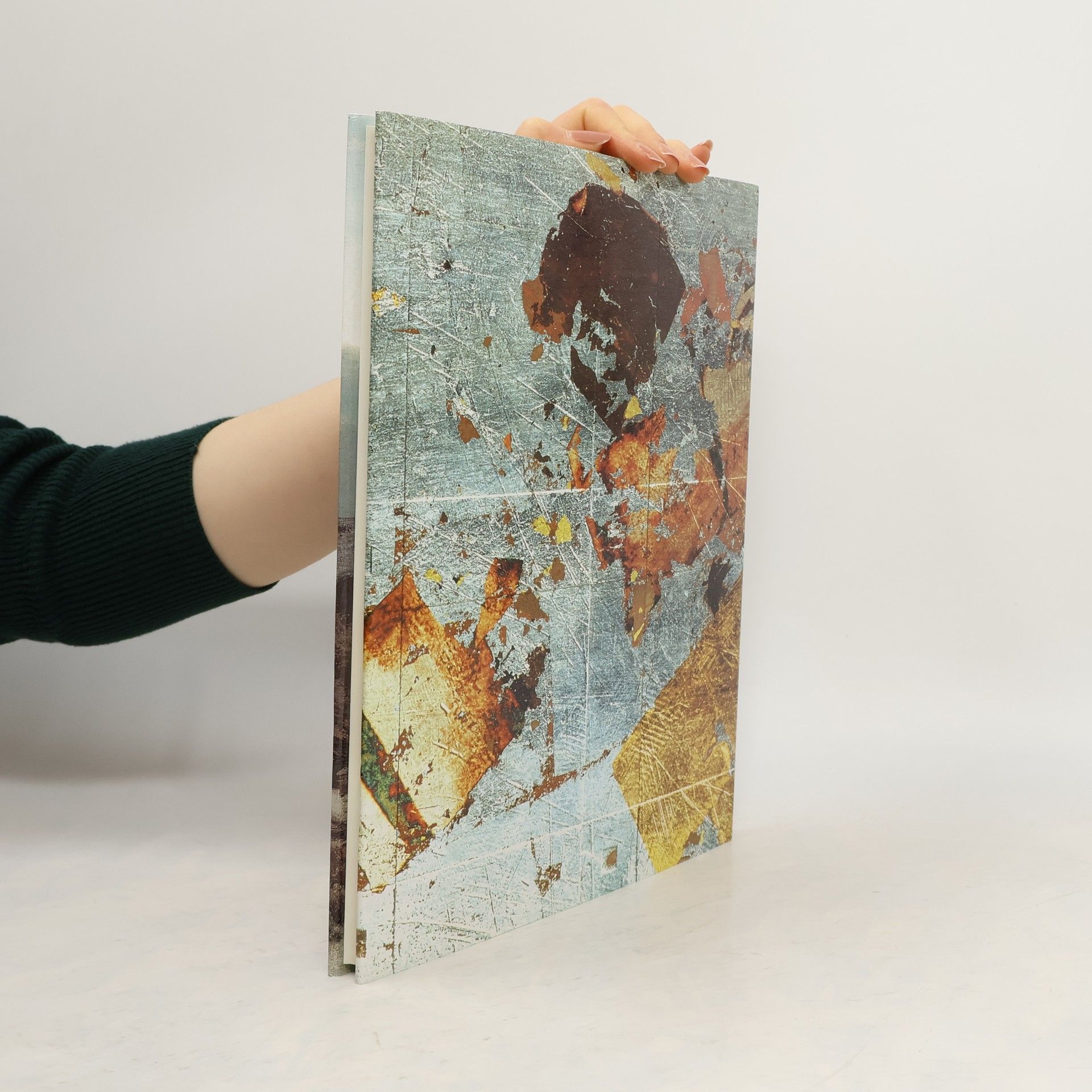 Jan Gryc České malířství 19. století ve sbírce Západočeské galerie v Plzni