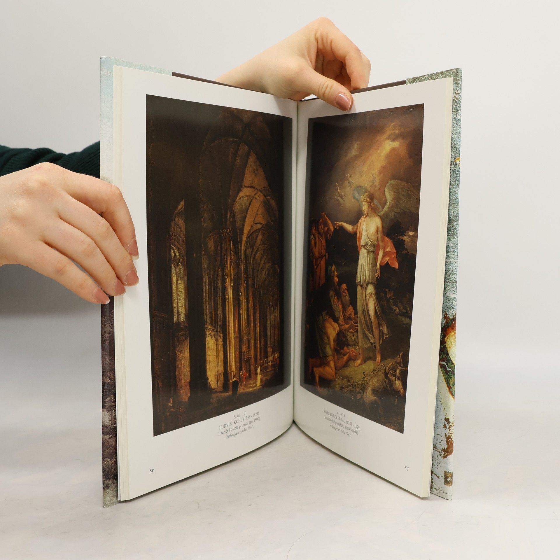 Jan Gryc České malířství 19. století ve sbírce Západočeské galerie v Plzni