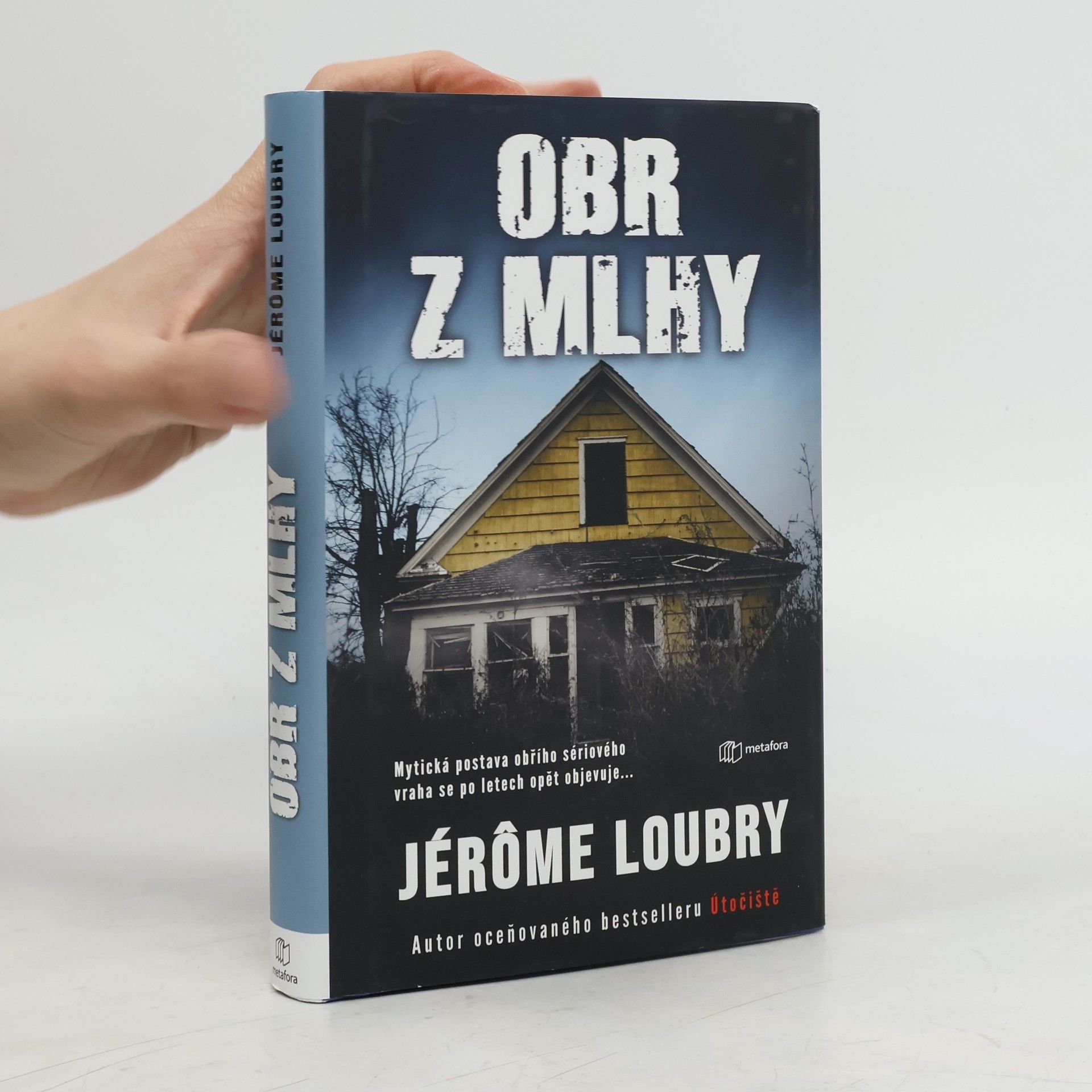 Jérôme Loubry Obr z mlhy