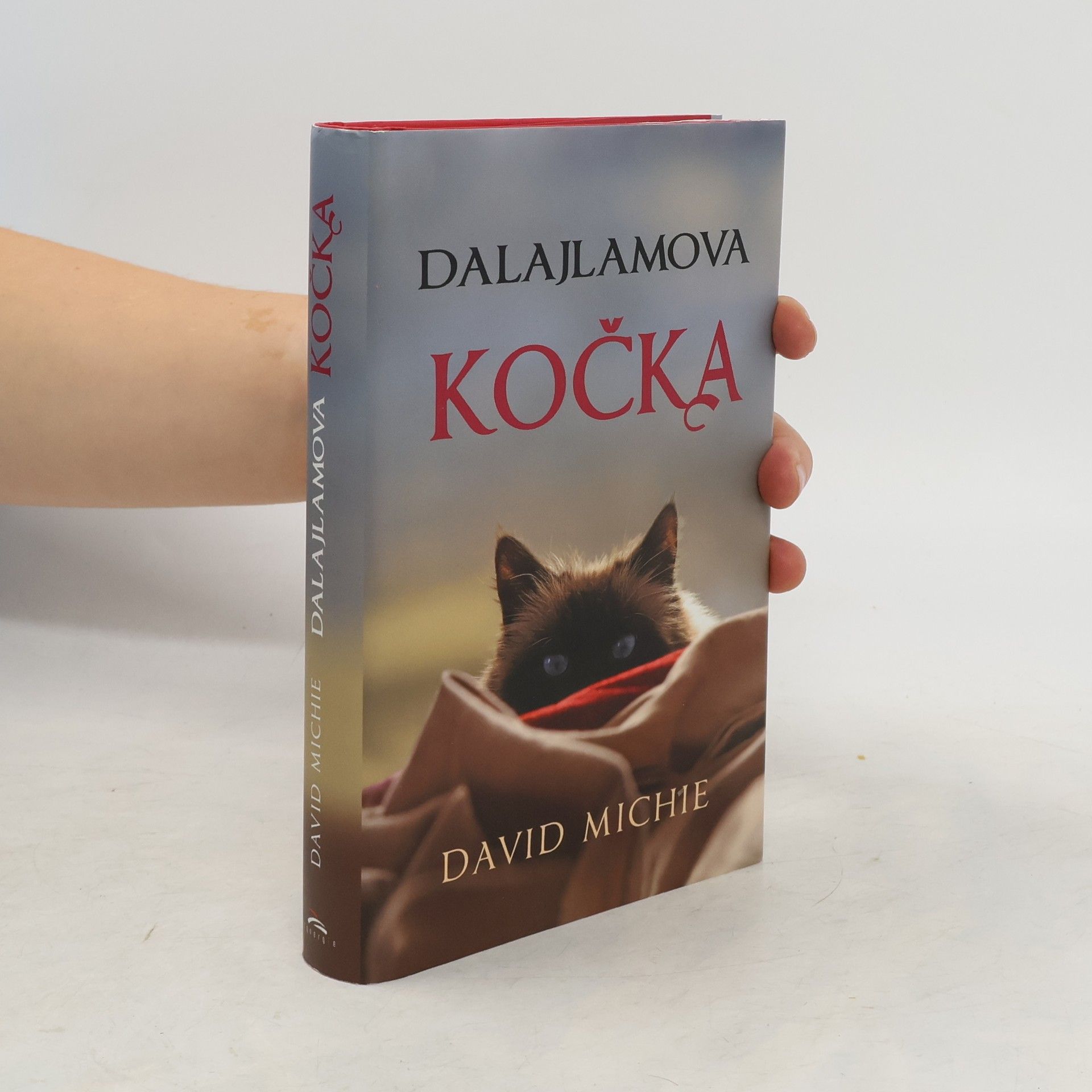 David Michie Dalajlamova kočka