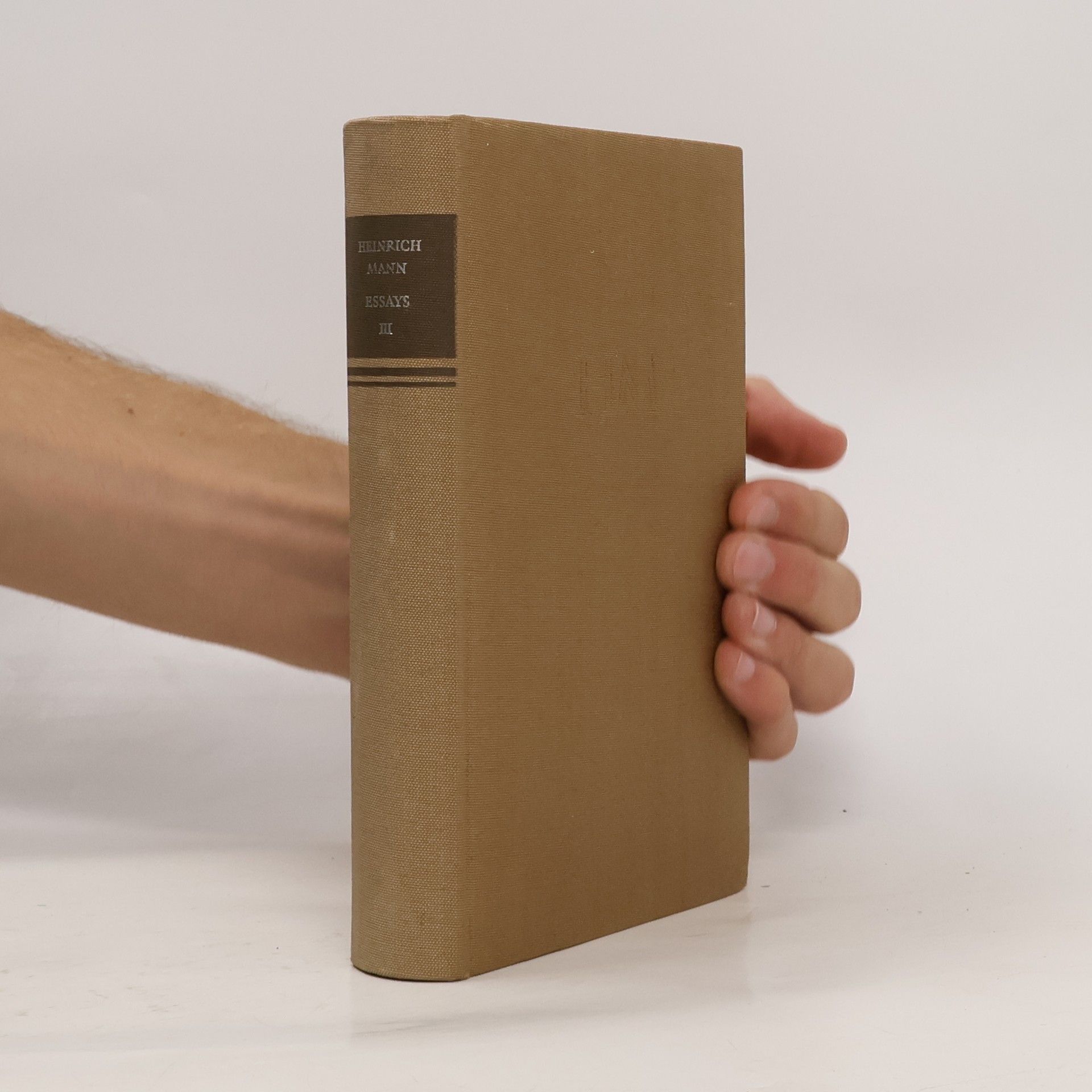 Heinrich Mann Essays. Band 3