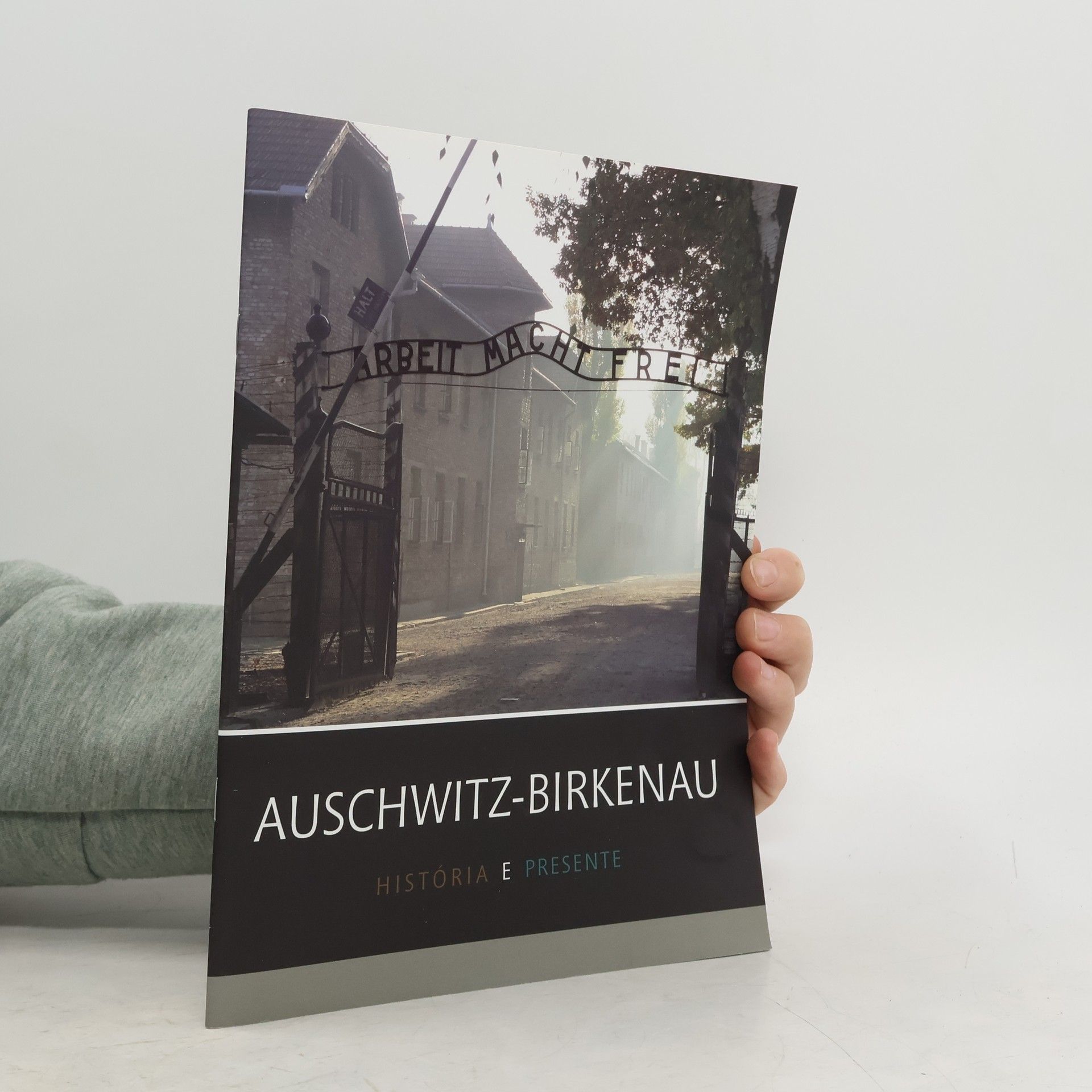 Kolektiv autorů Auschwitz-Birkenau: Historia e Presente