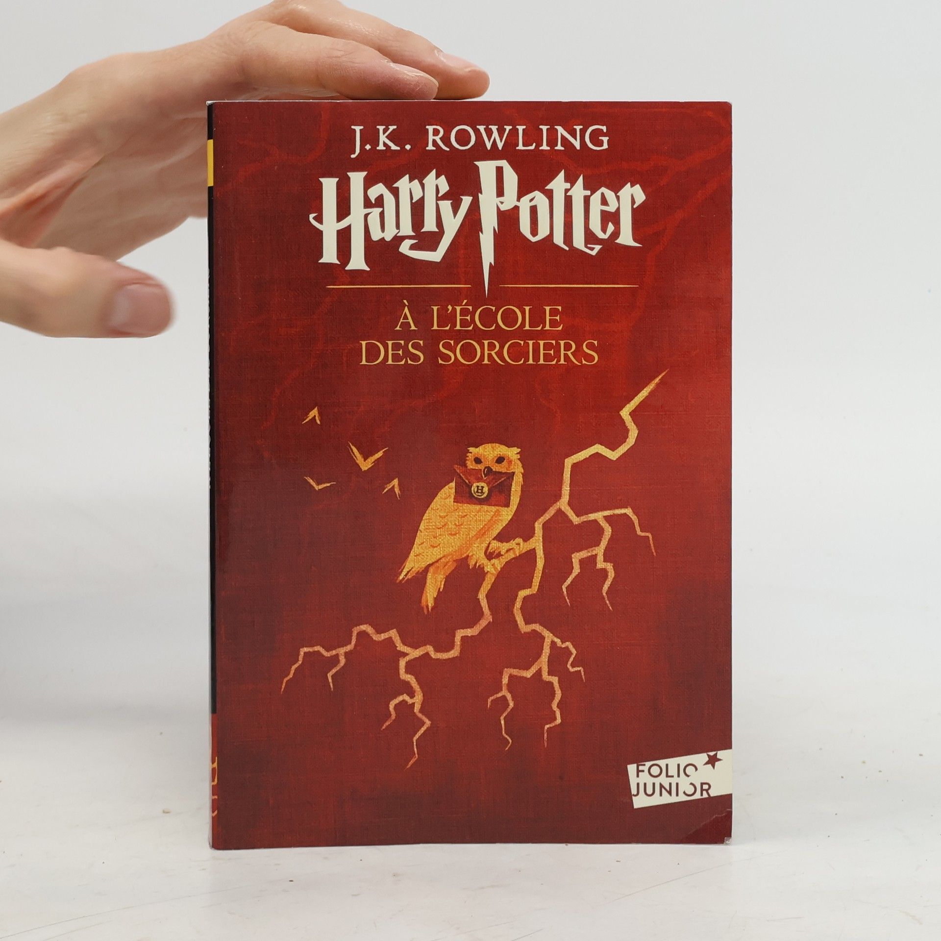 Joanne K. Rowlingová Harry Potter à l'école des sorciers