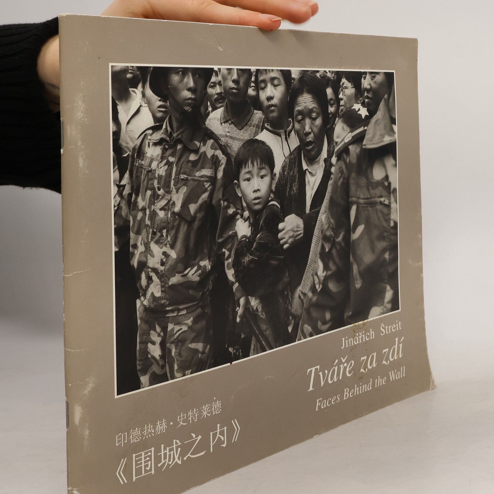 Faces Behind the Wall