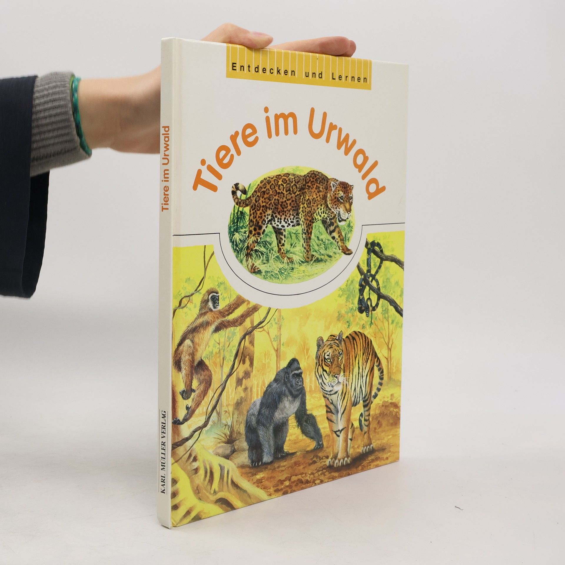 Entdecken und Lernen. Tiere im Urwald