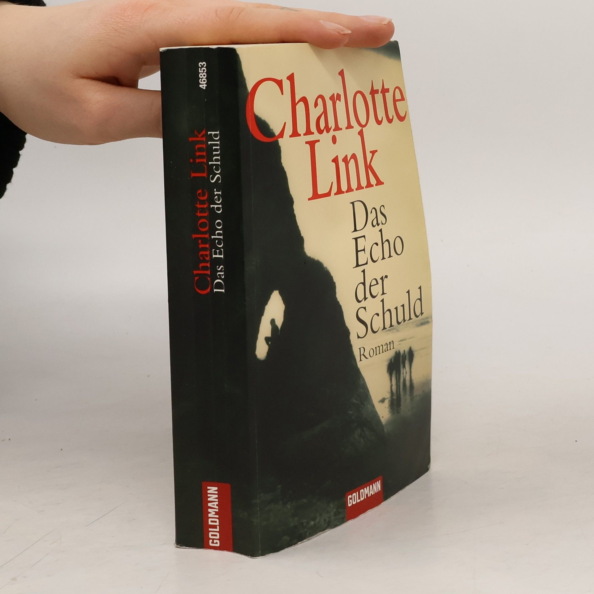 Charlotte Link Das Echo der Schuld