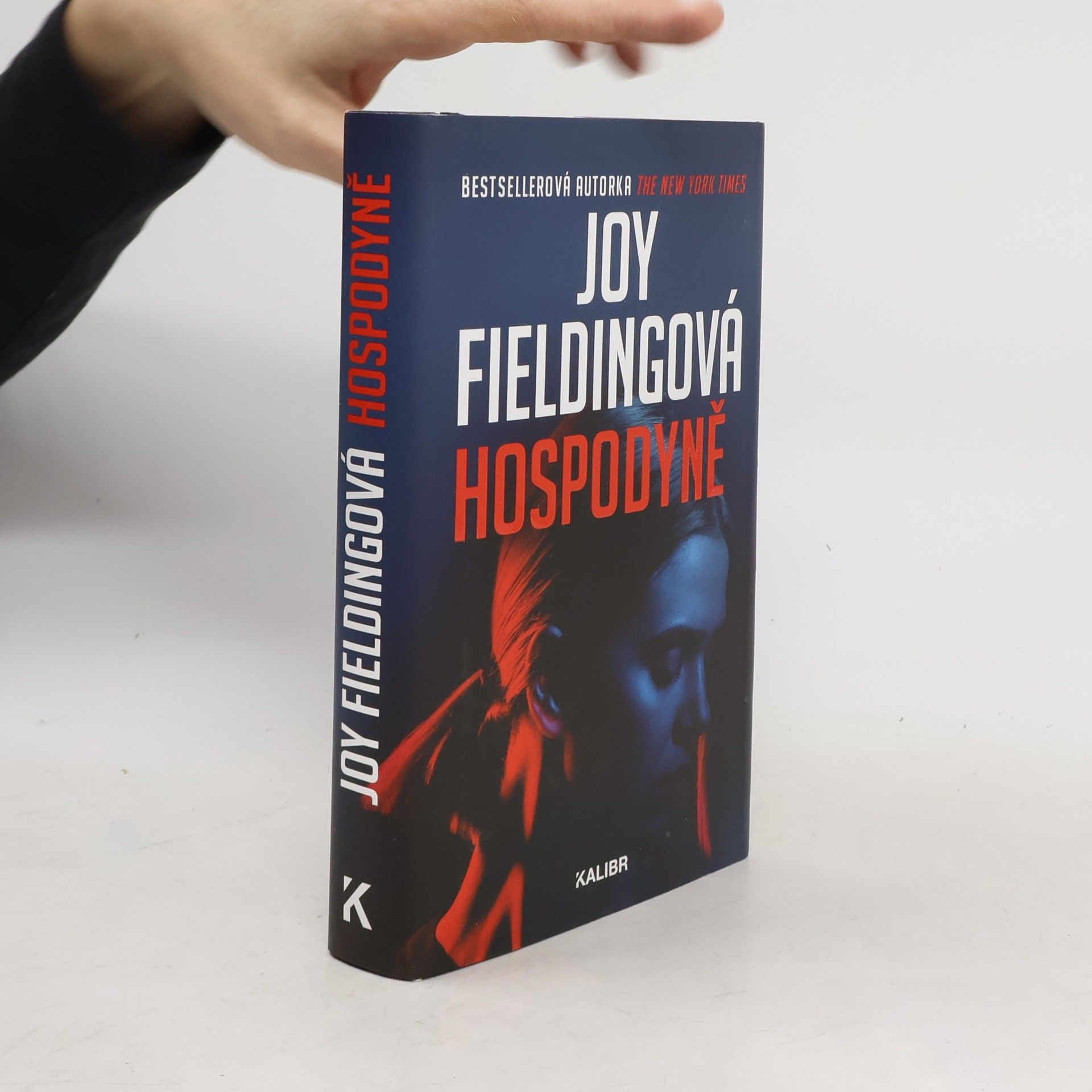 Joy Fielding Hospodyně
