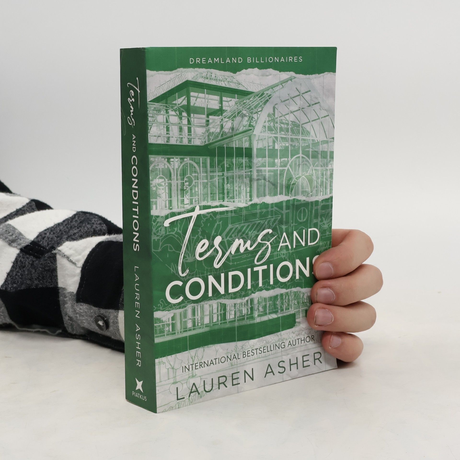 Dreamland billionaires. Terms and conditions