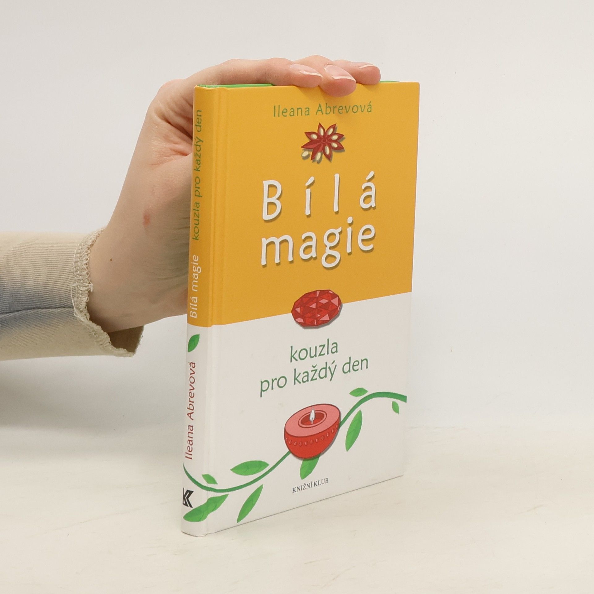 Bílá magie : kouzla pro každý den