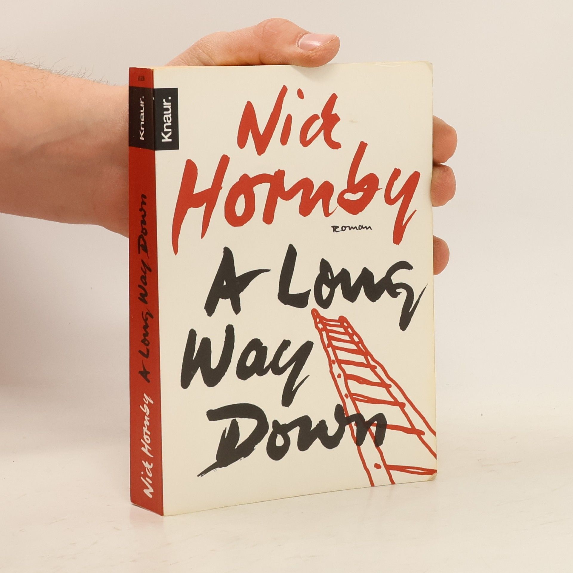 Nick Hornby A long way down