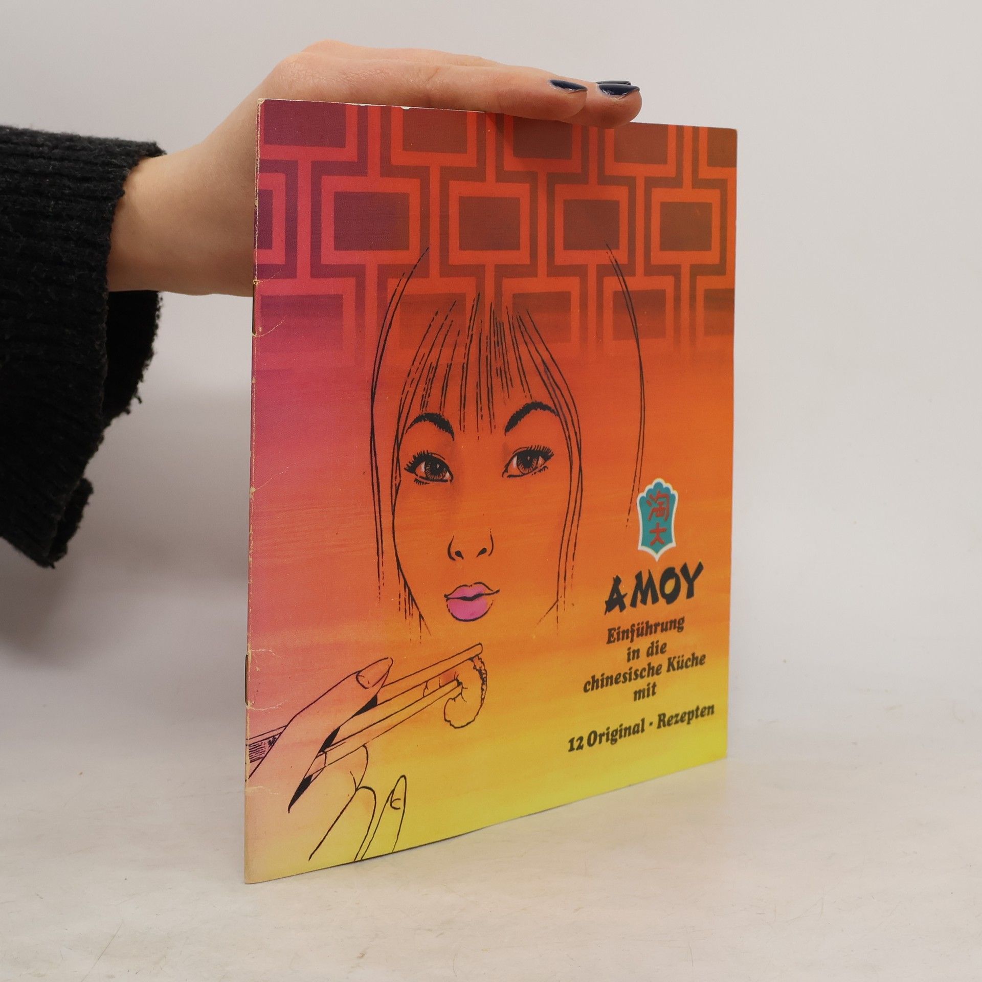 Autorenkollektiv Amoy: Einführung in die chinesische Küche mit 12 Original - Rezepten