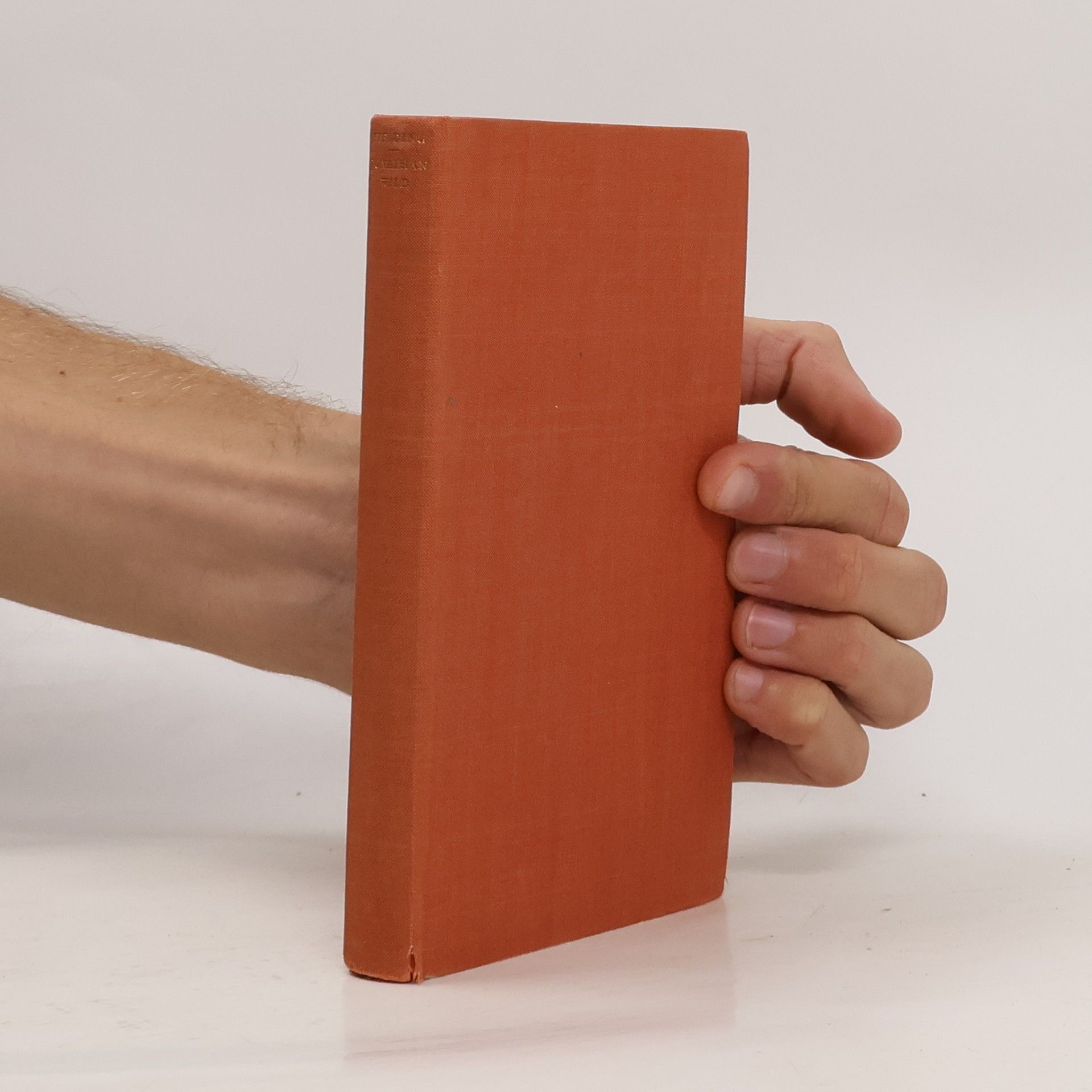 Henry Fielding Das Leben des Mr. Jonathan Wild, des Großen