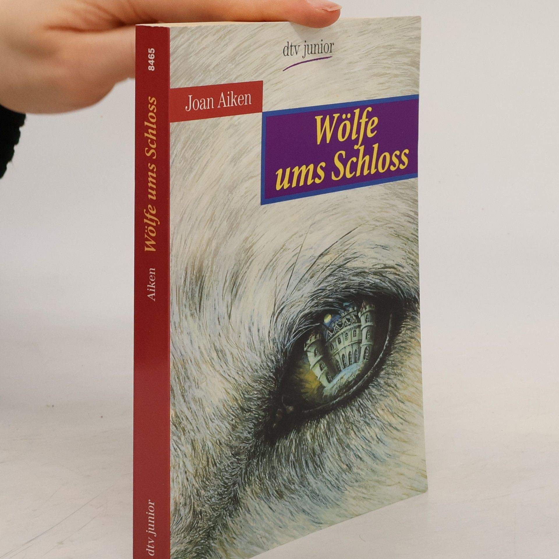 Joan Aiken Wölfe ums Schloss