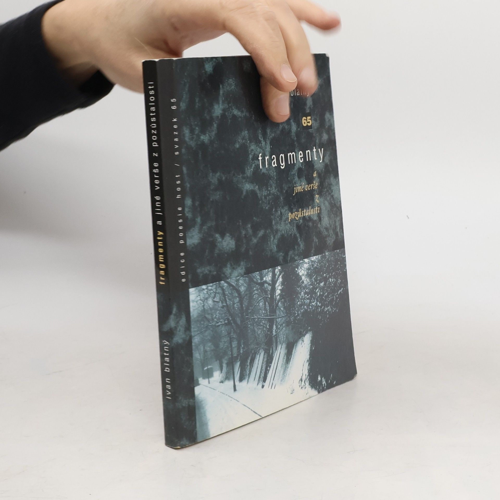 Ivan Blatný Fragmenty