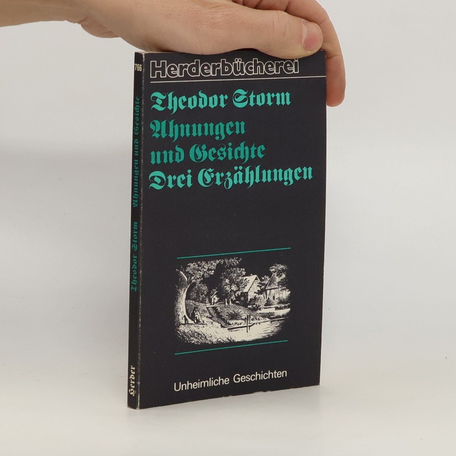 Theodor Storm Ahnungen und Gesichte