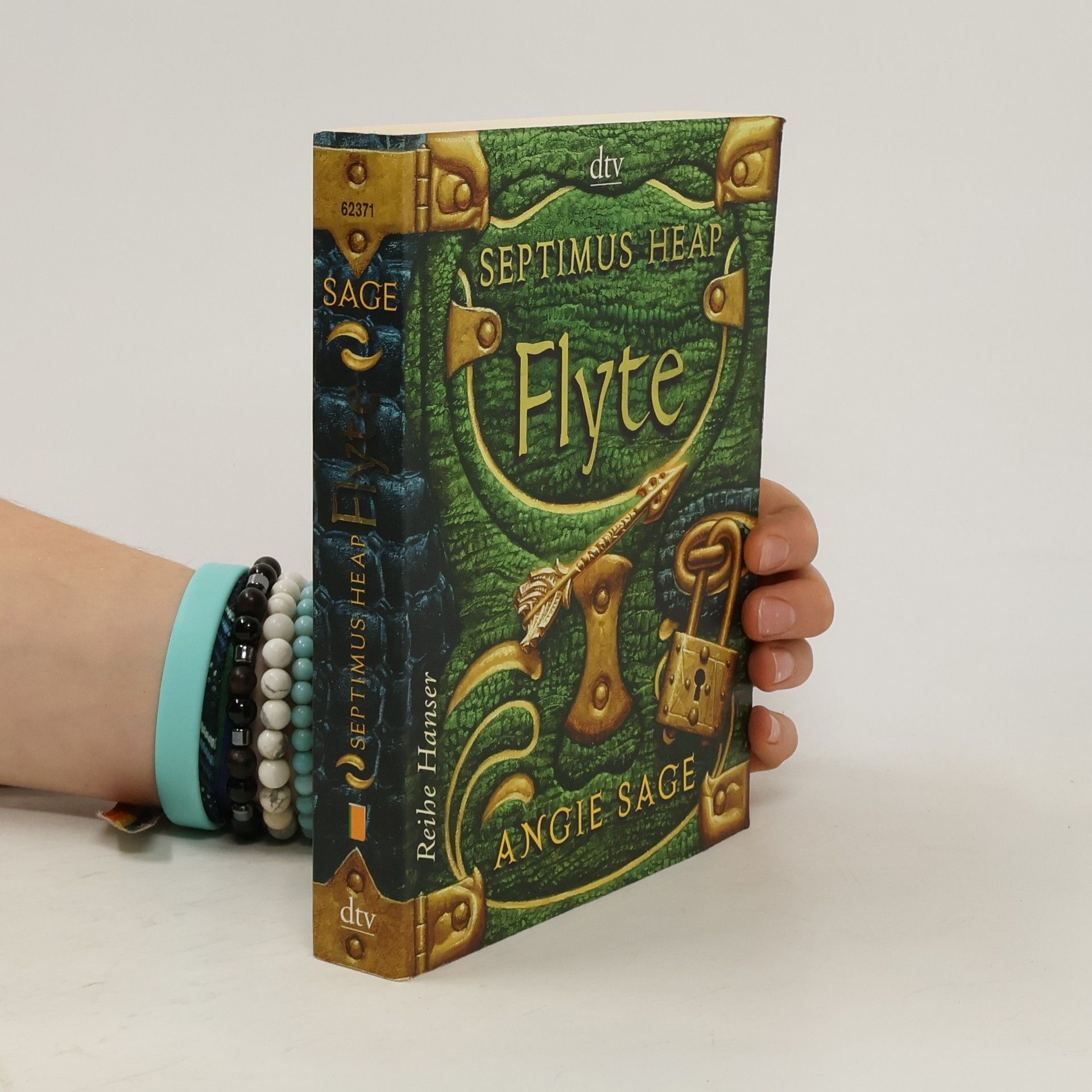 Angie Sage Septimus Heap: Flyte