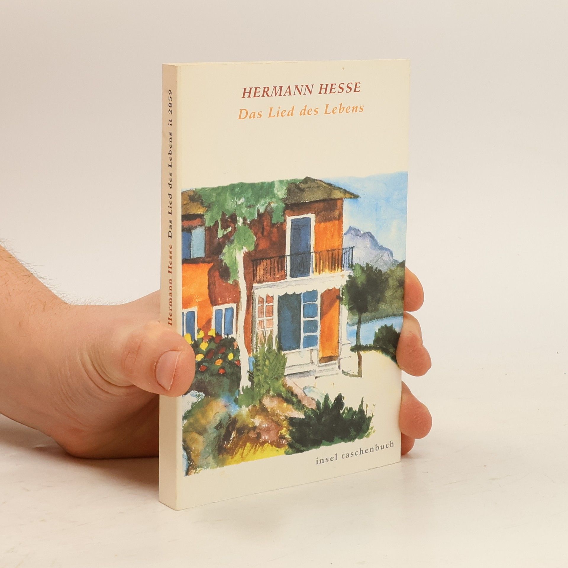 Hermann Hesse Das Lied des Lebens