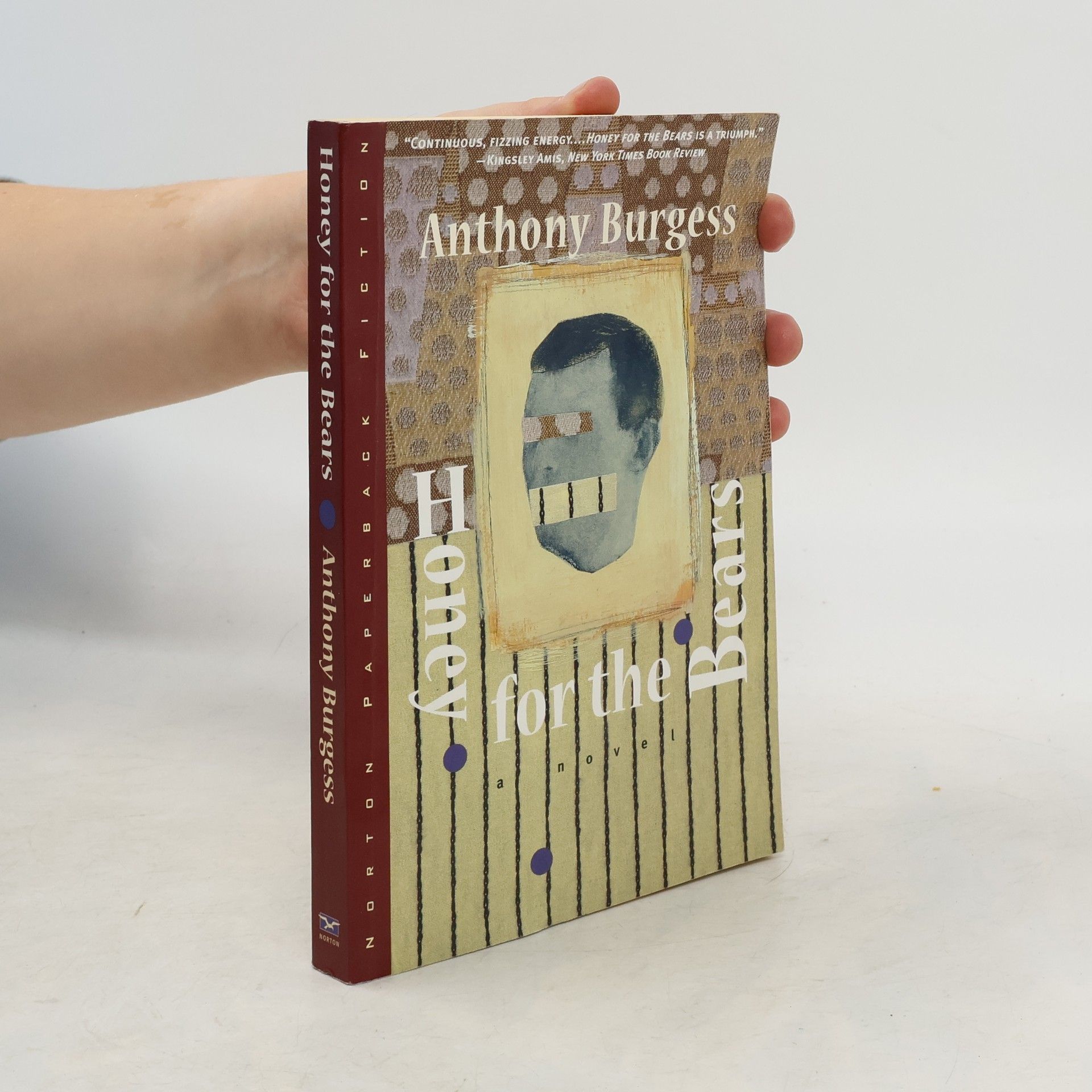 Anthony Burgess Norton Paperback Fiction: Honey for the Bears