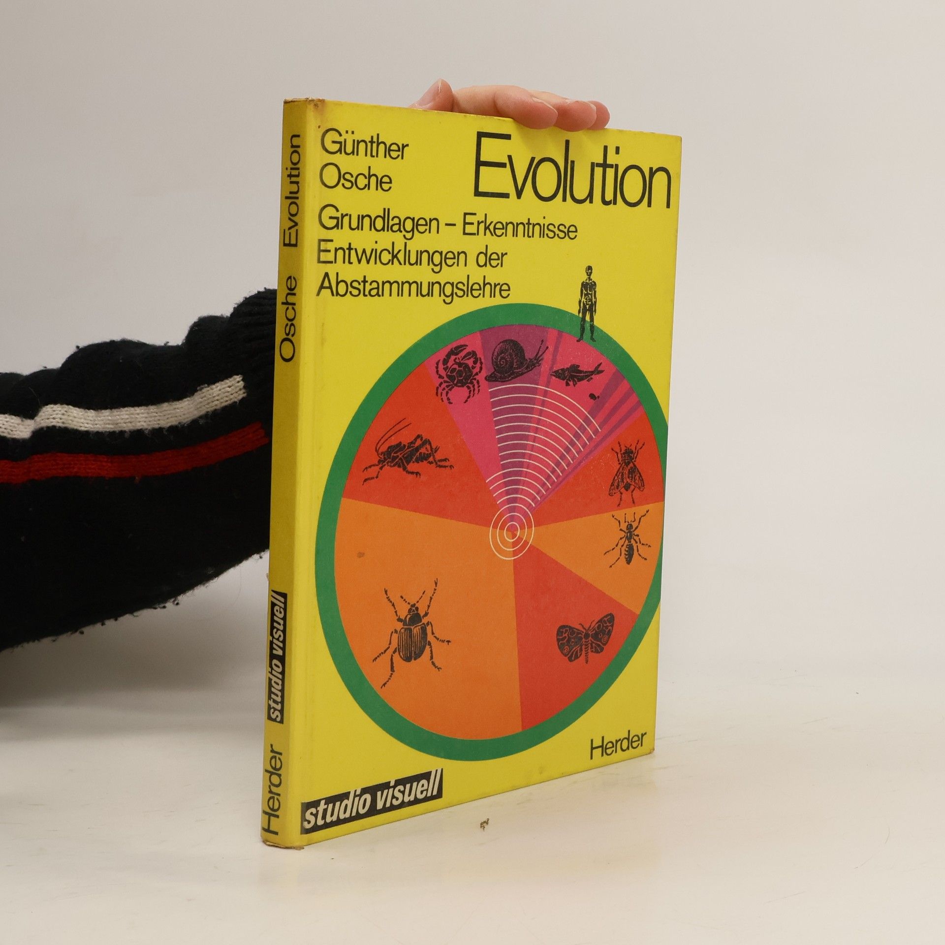 Günther Osche Evolution