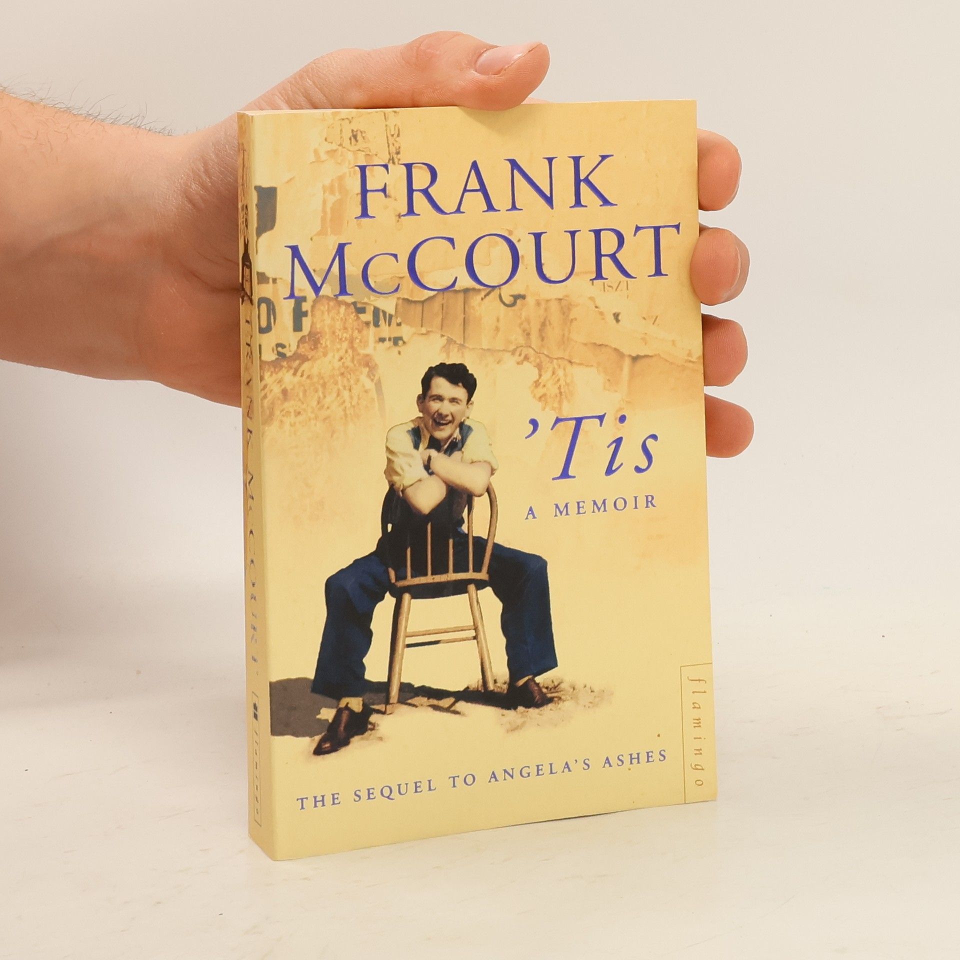 Frank McCourt 'Tis : a memoir