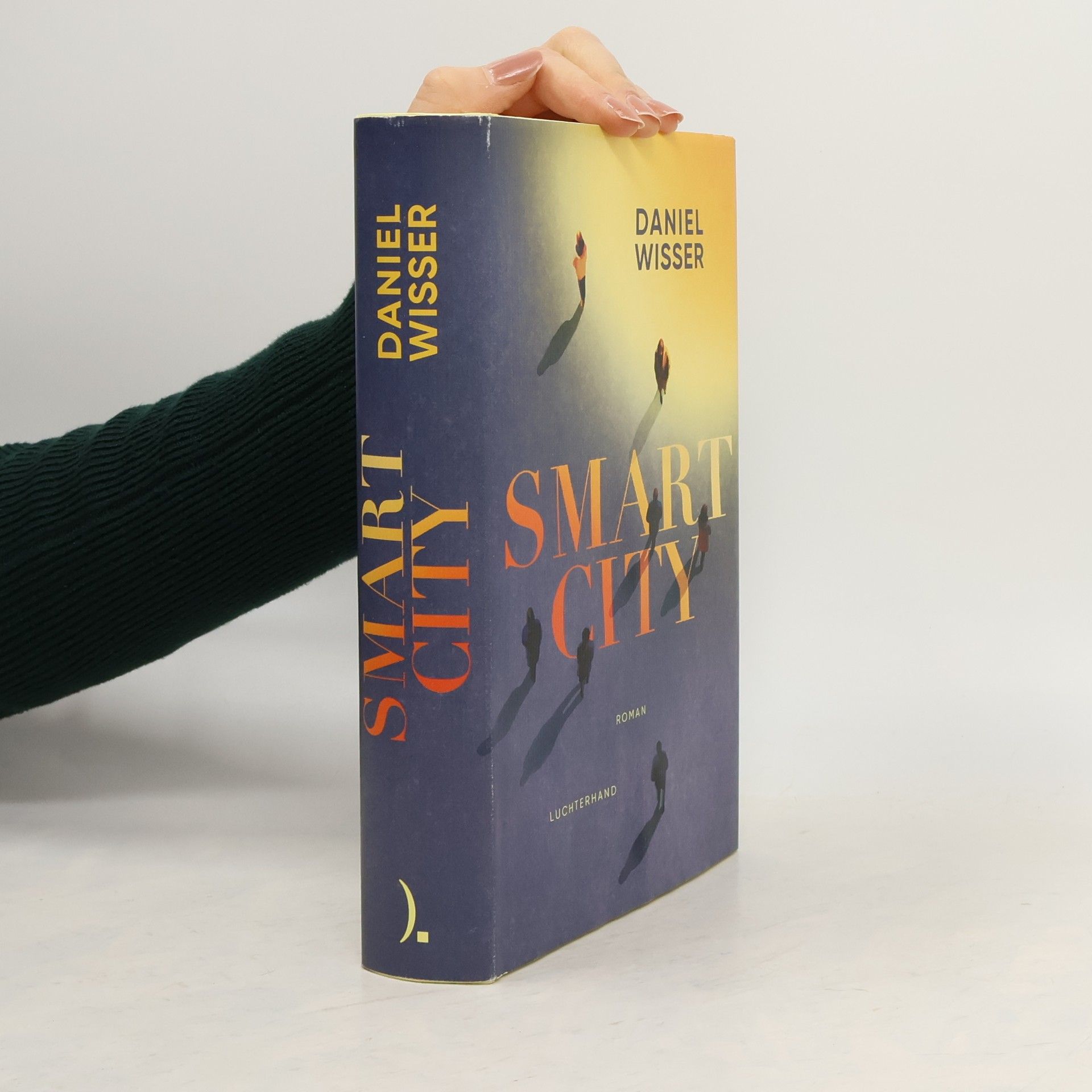 Daniel Wisser Smart City