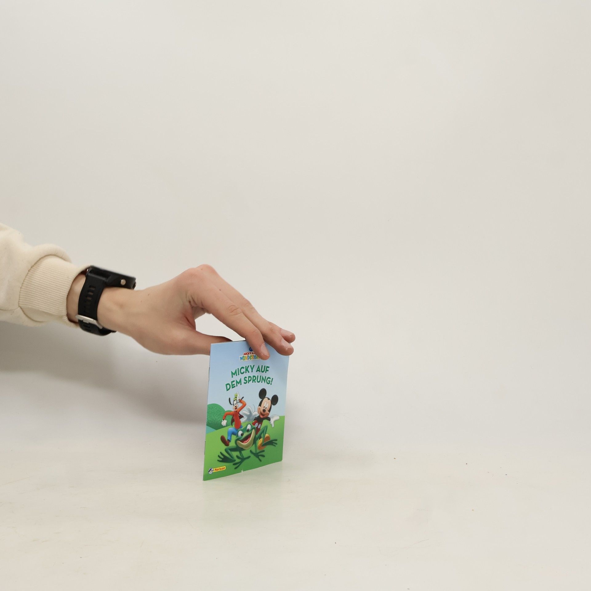 Collectif d'auteurs Micky Maus Wunderhaus