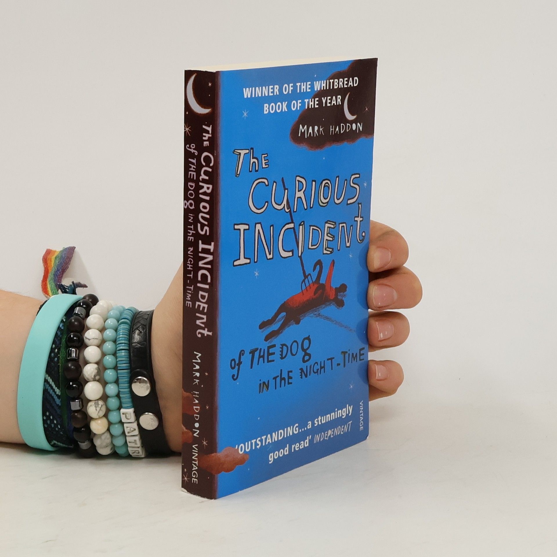 Mark Haddon The Curious Incident of The Dog in The Night-Time