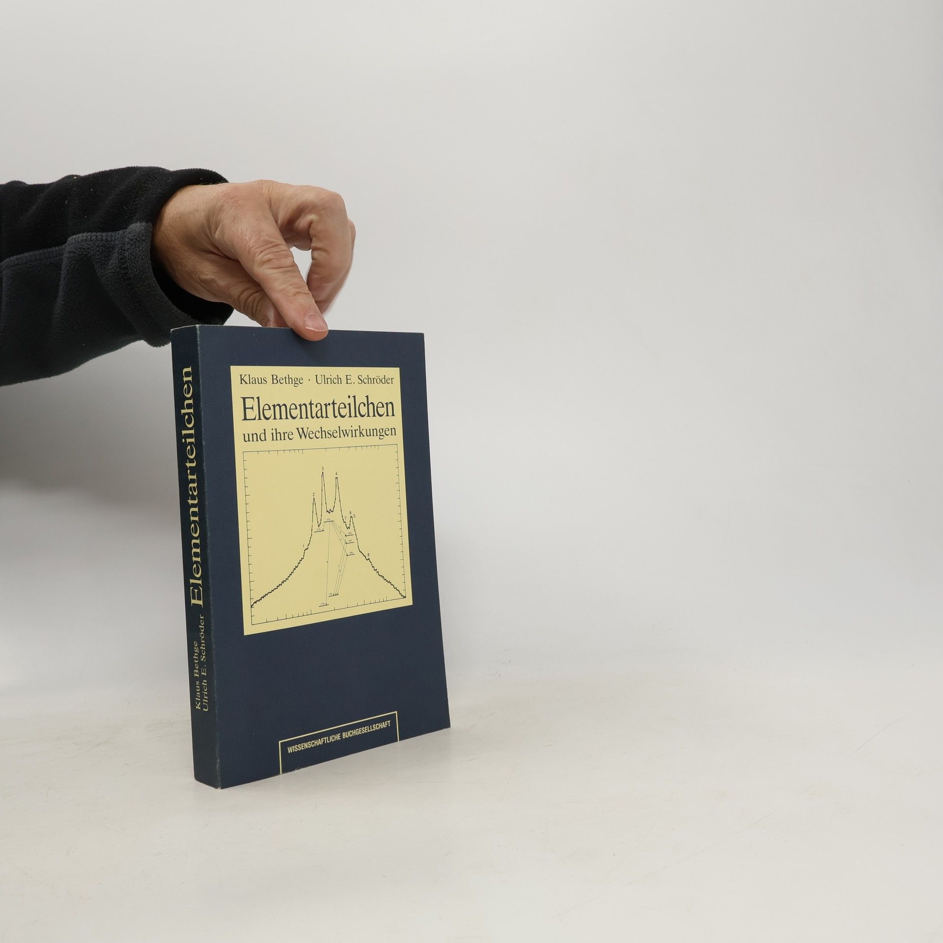 Elementarteilchen und ihre Wechselwirkungen