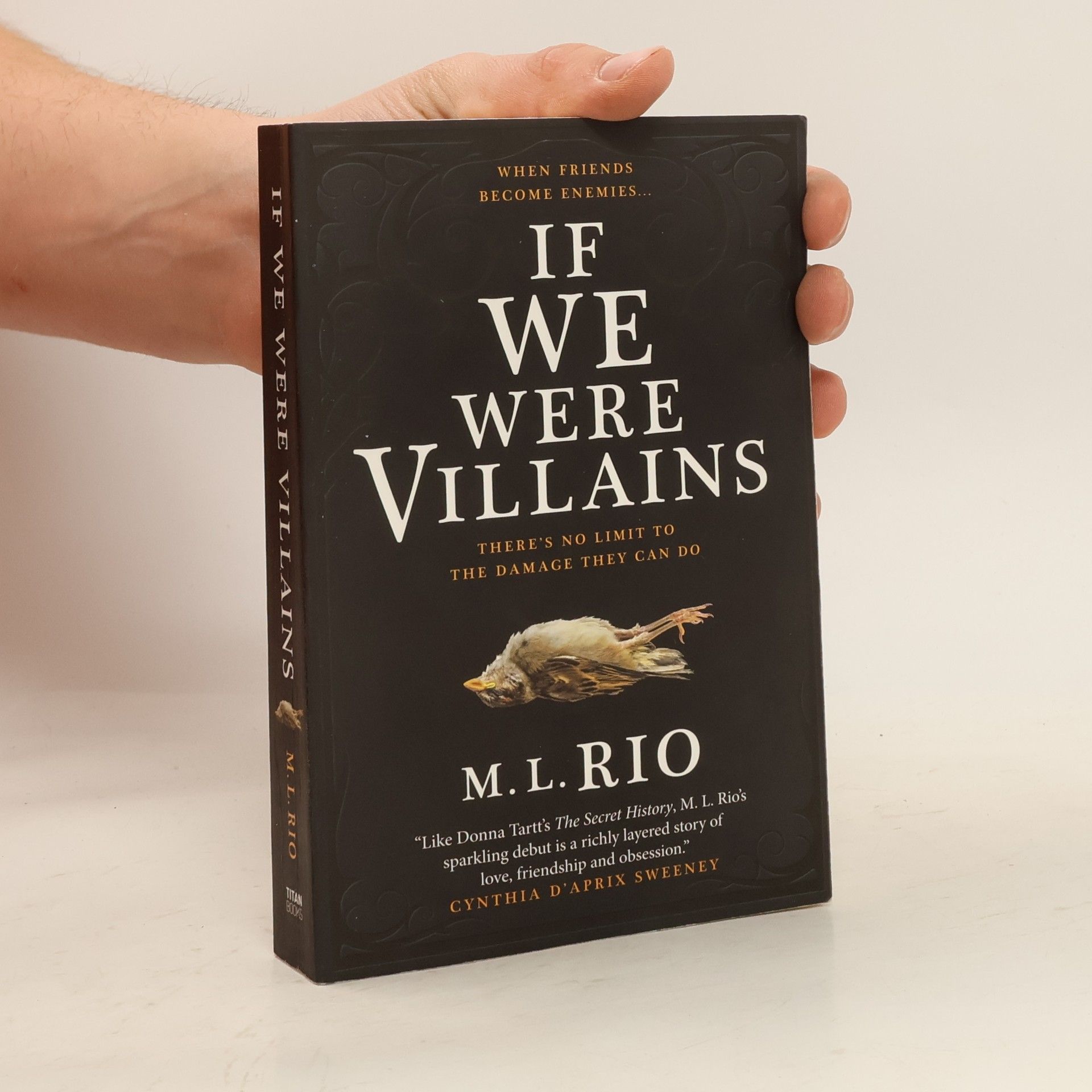 M. L. Rio If We Were Villains