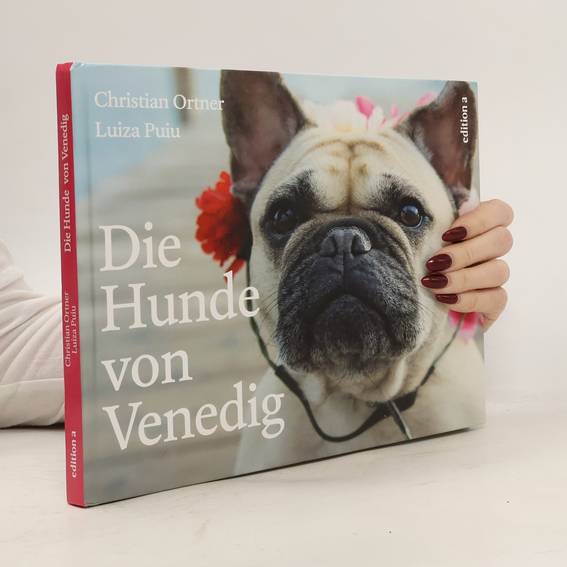 Die Hunde von Venedig