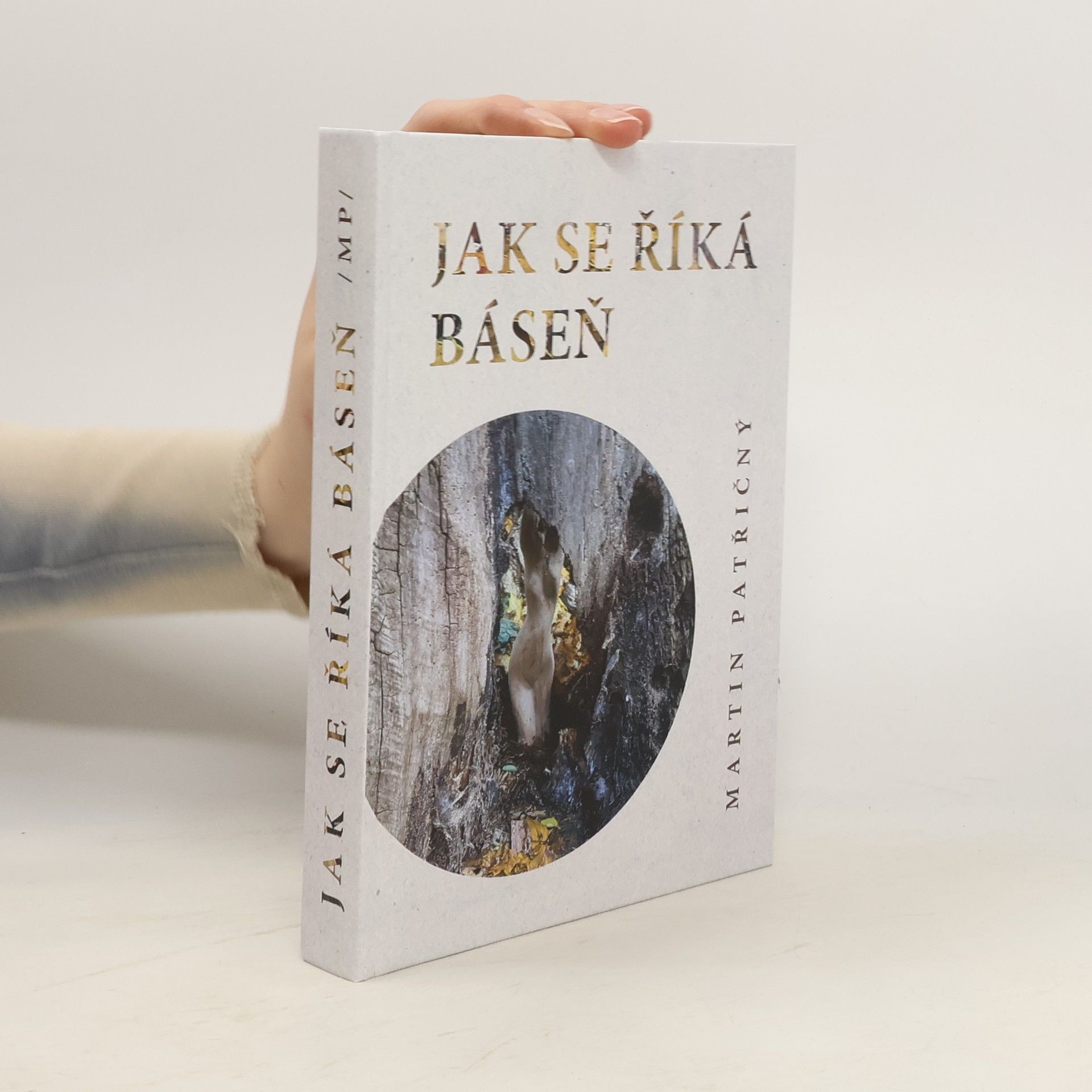 Martin Patřičný Jak se říká báseň