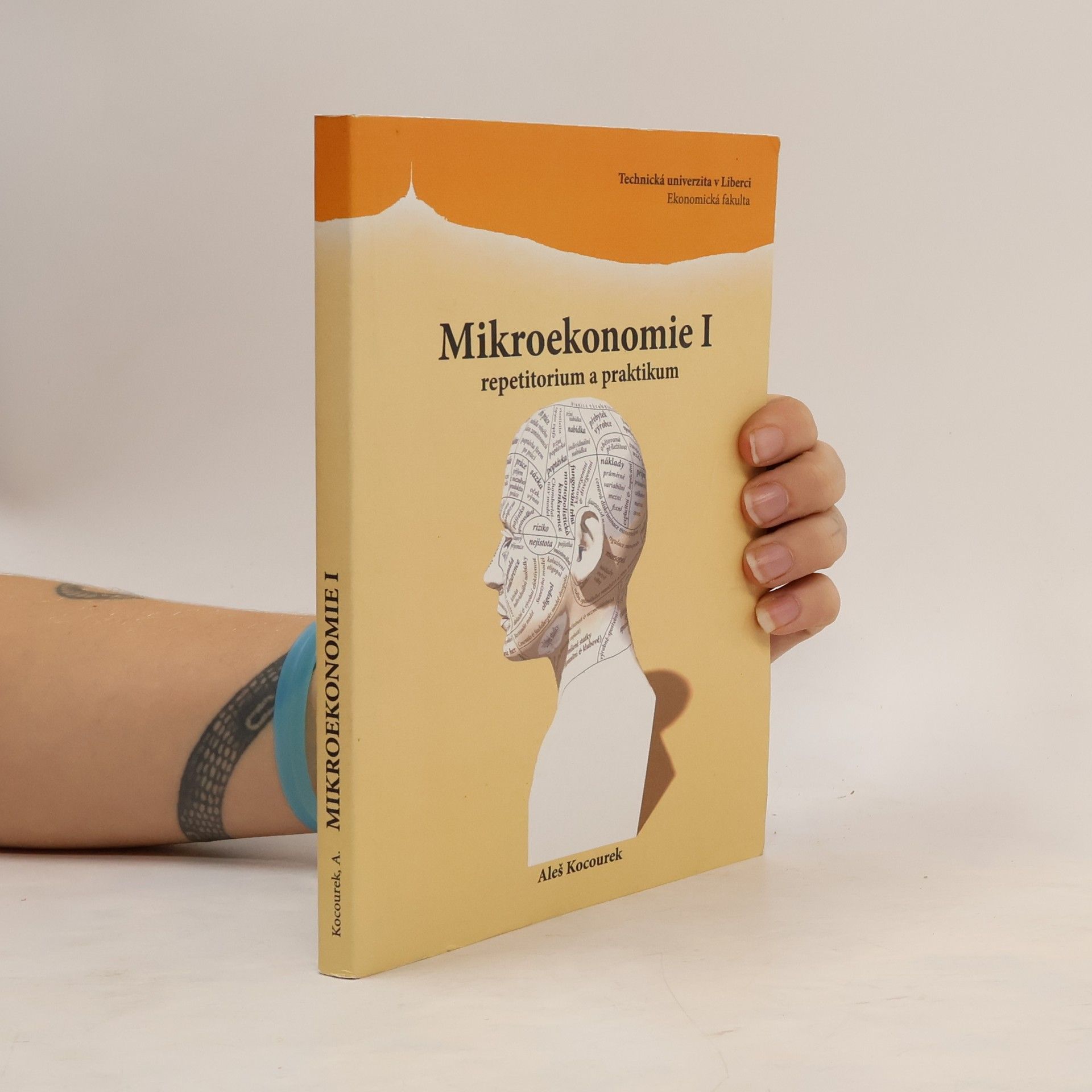 Mikroekonomie I: repetitorium a praktikum