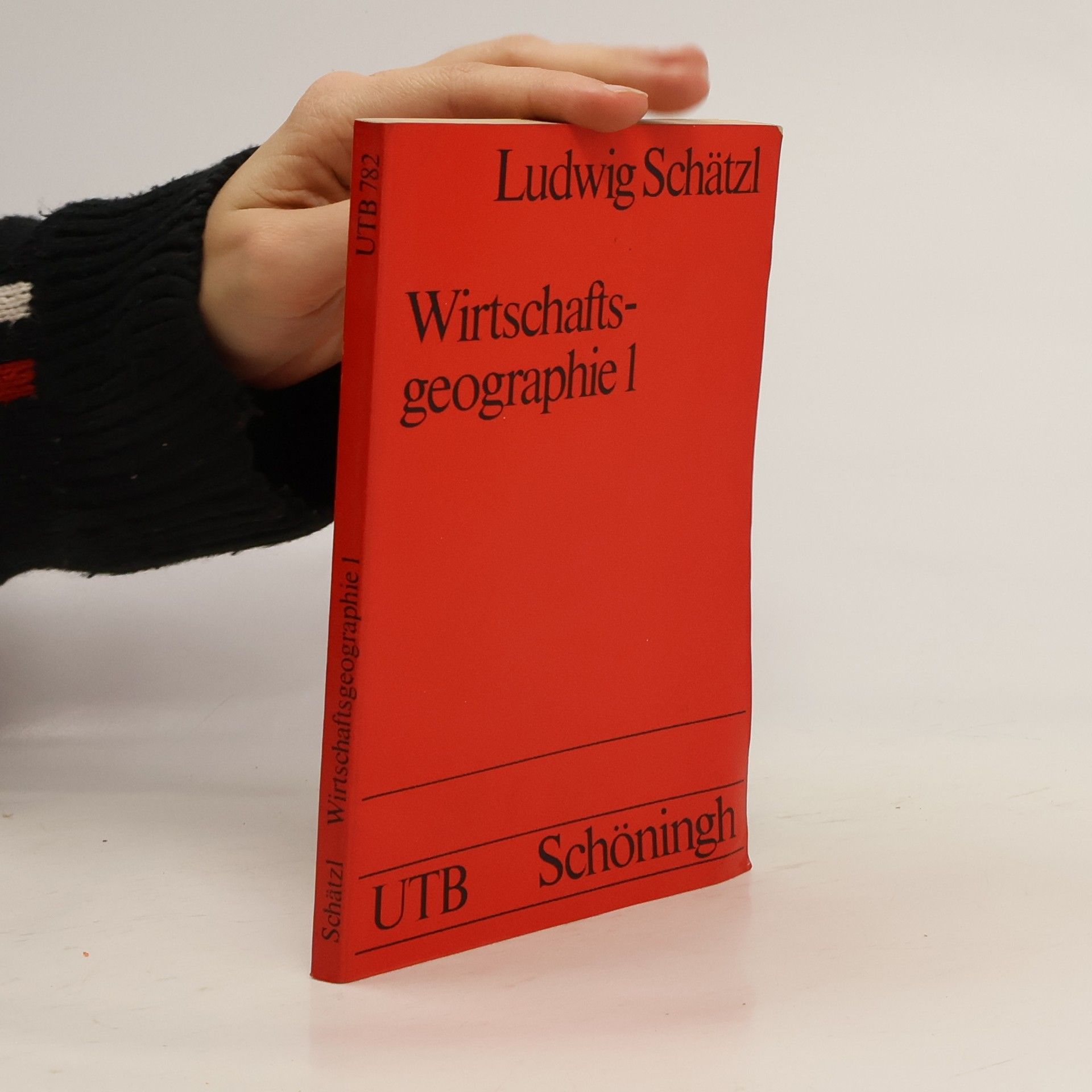Wirtschaftsgeographie