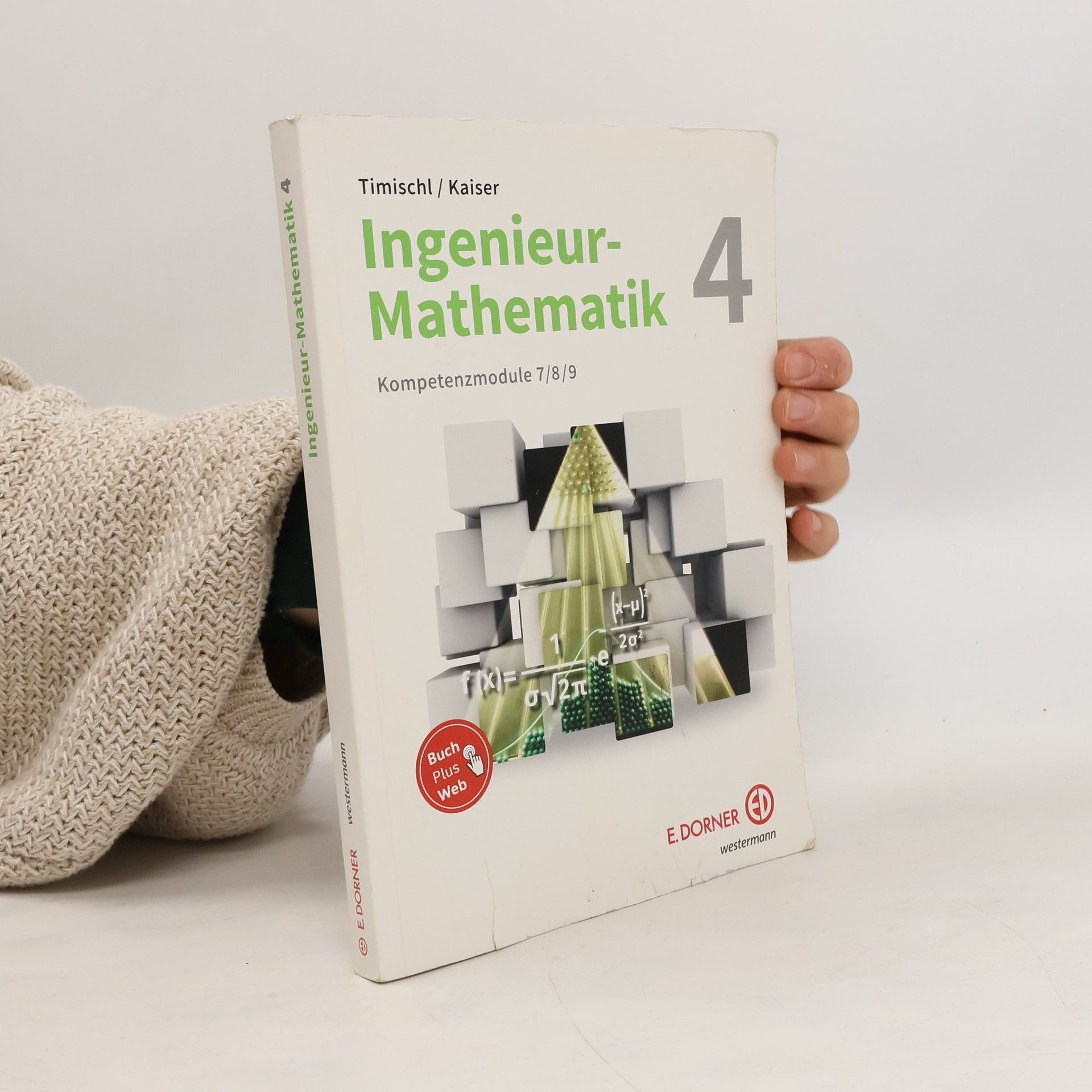 Autorenkollektiv Ingenieur--Mathematik 4