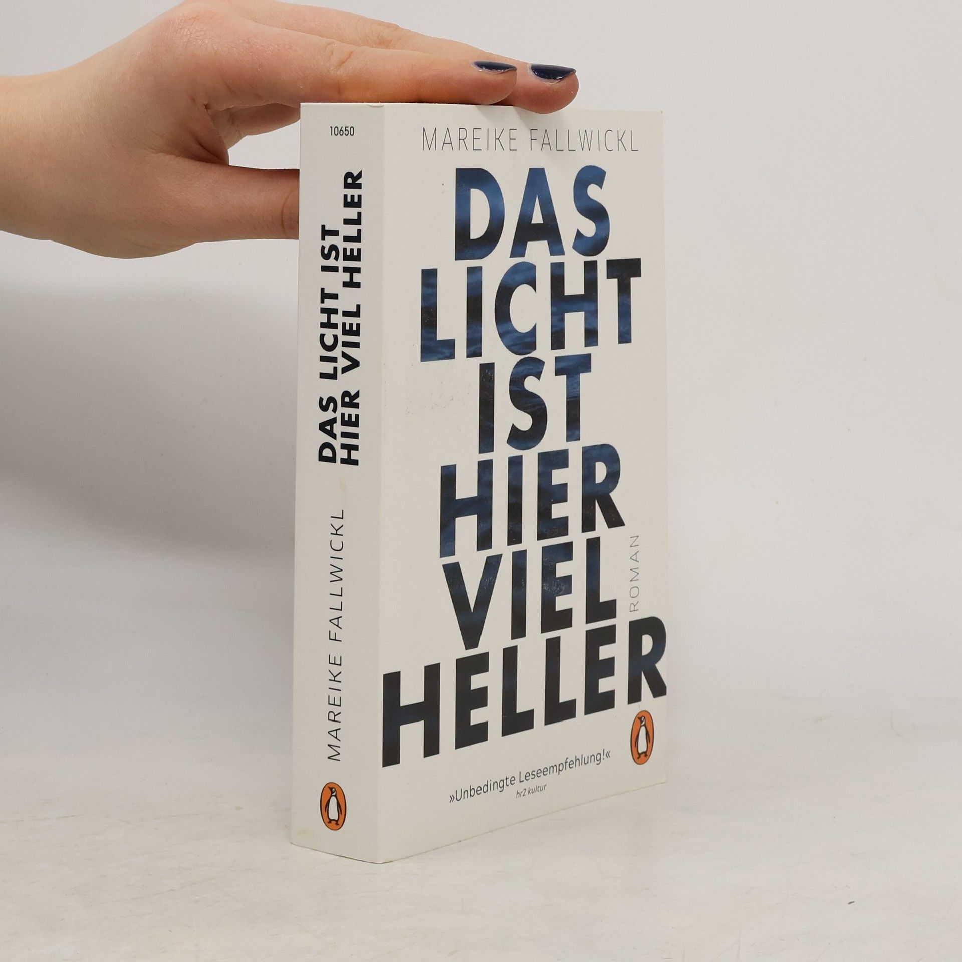 Mareike Fallwickl Das licht ist hier viel heller
